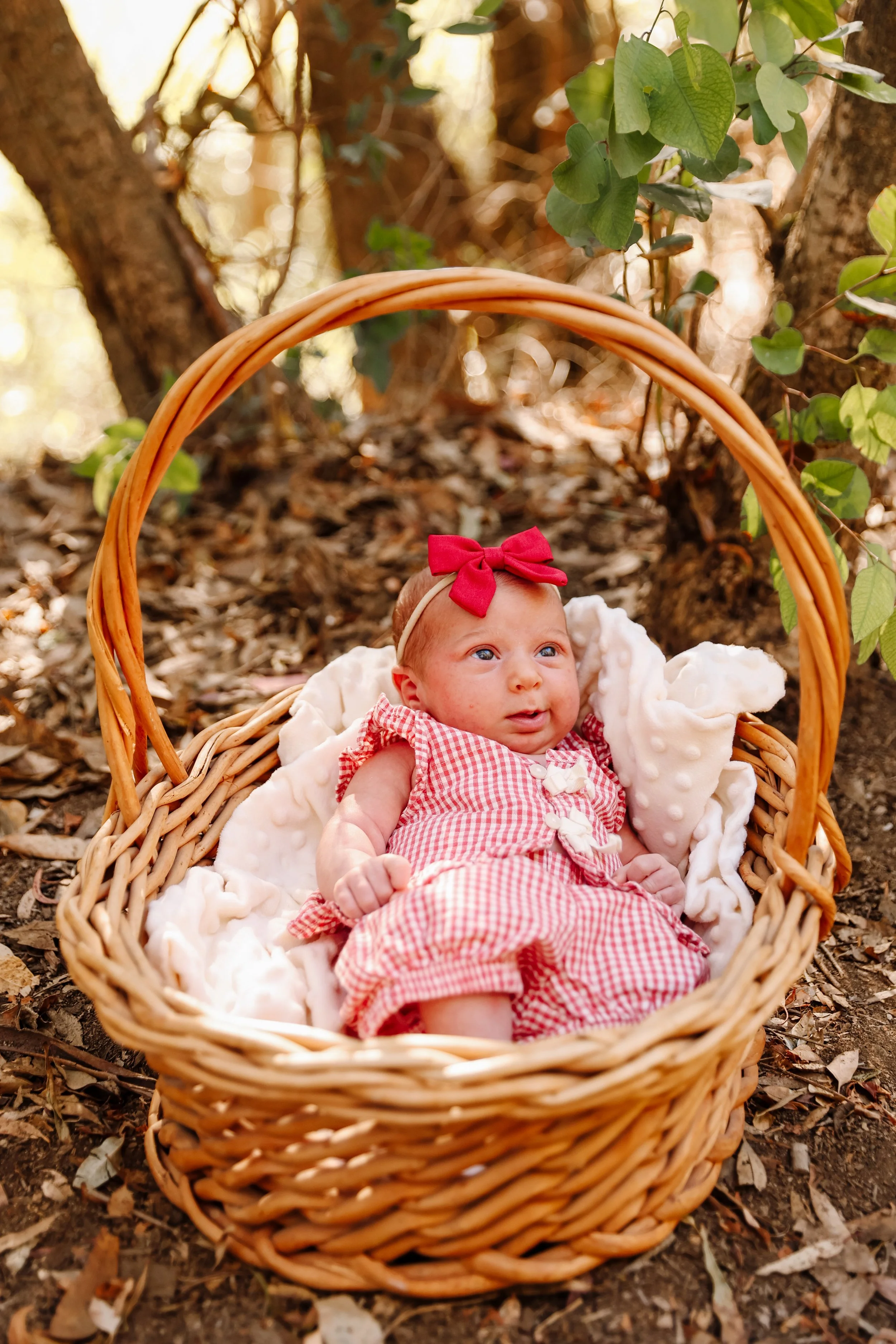Gavin&BriNewbornEditsJaredSislinPhoto-38.jpg