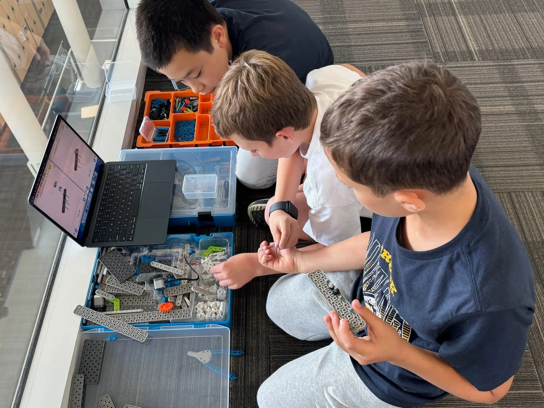 VEX Robotics