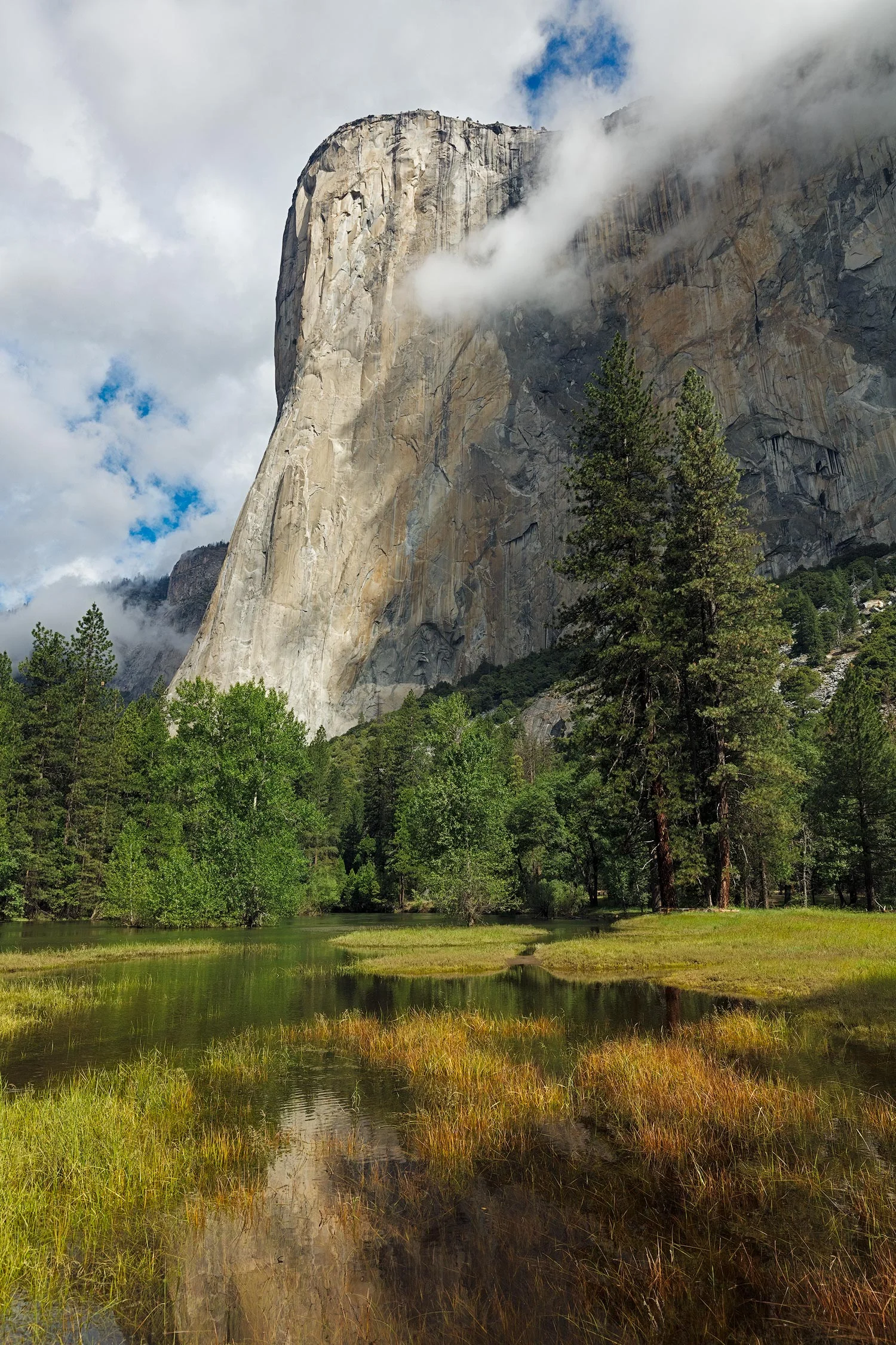 Flooded Meadow and El Capitan, Yosemite Valley