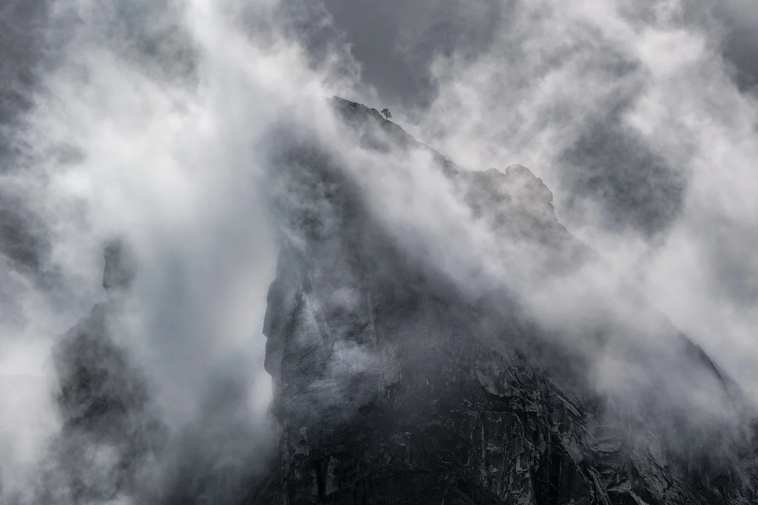 Expected, Unexpected:  A Morning in Yosemite Valley