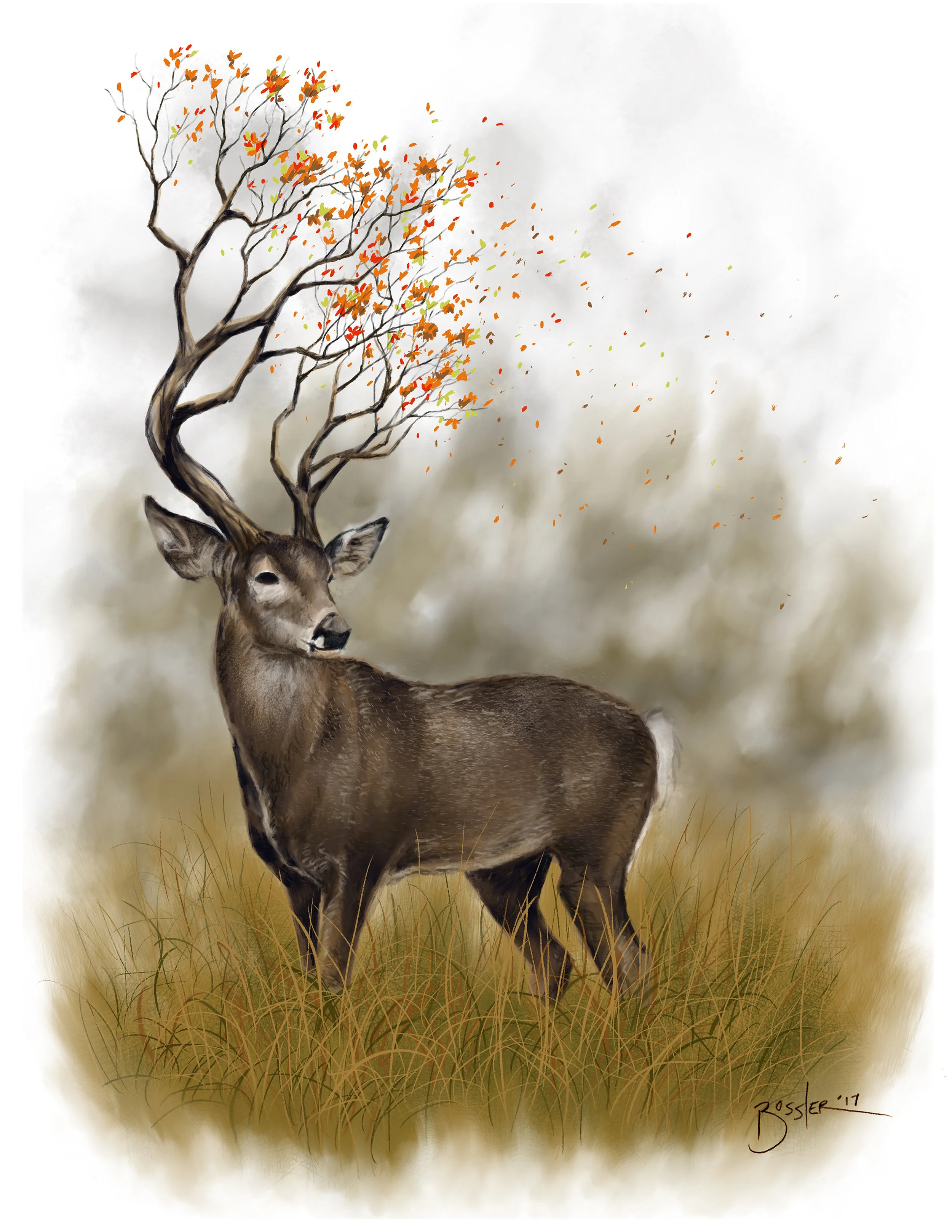 Fall deer