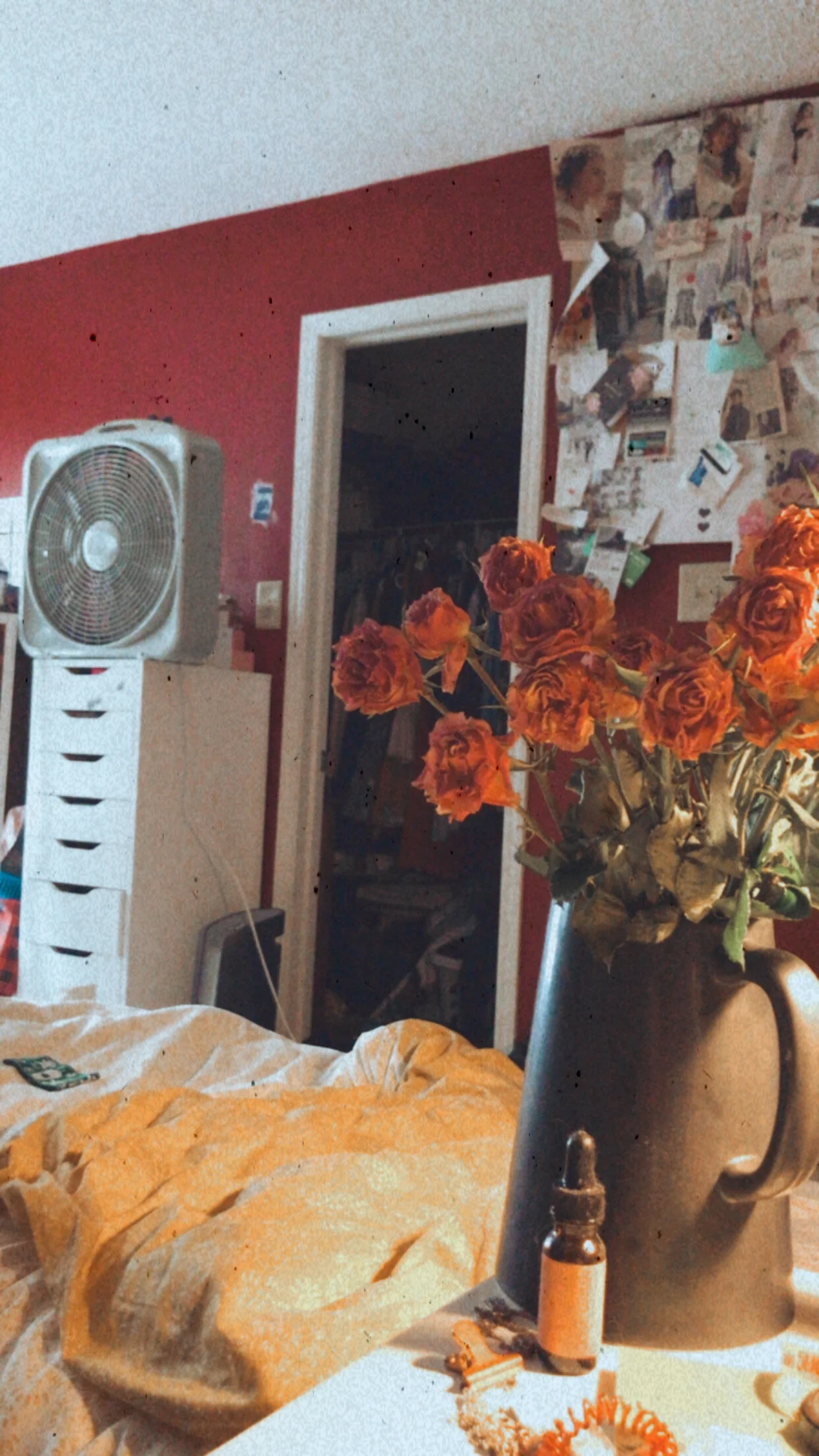 Monthly Favorites | July, 2020