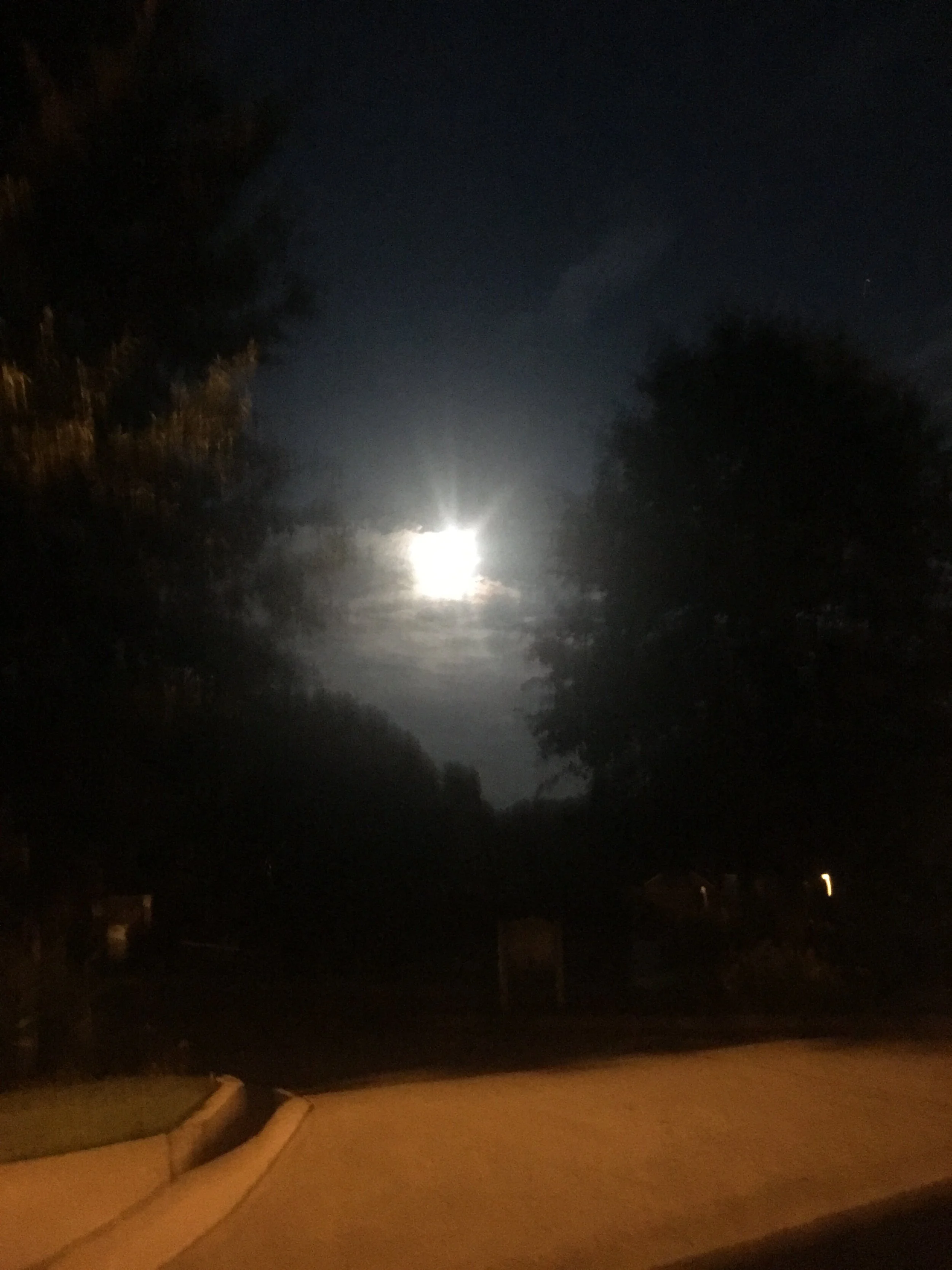 EP 05: Full Moon Fever - Tom Petty