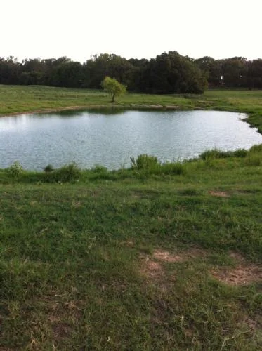 SOLD - Oakwood, TX