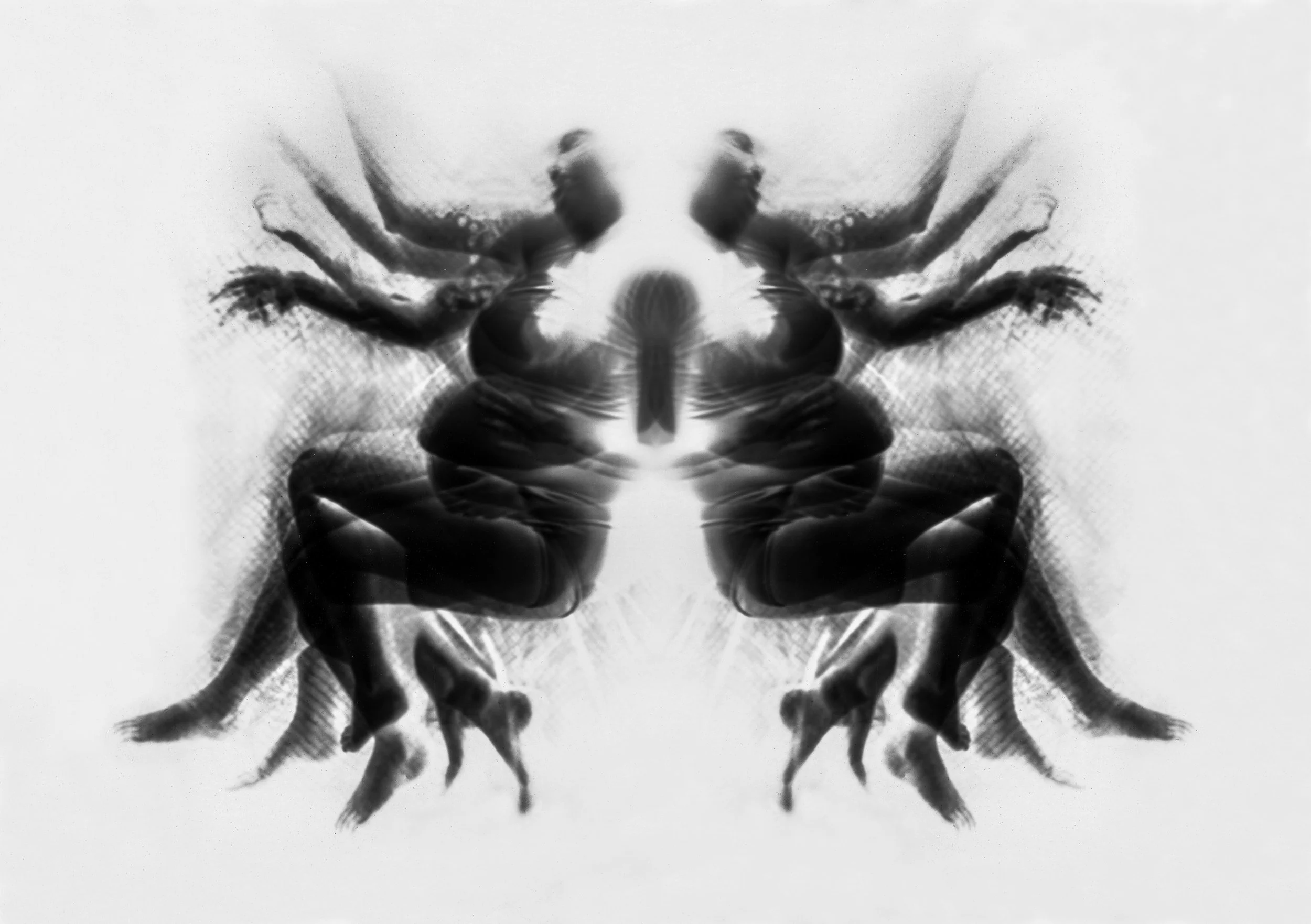 Butterfly Effect Resized.jpg