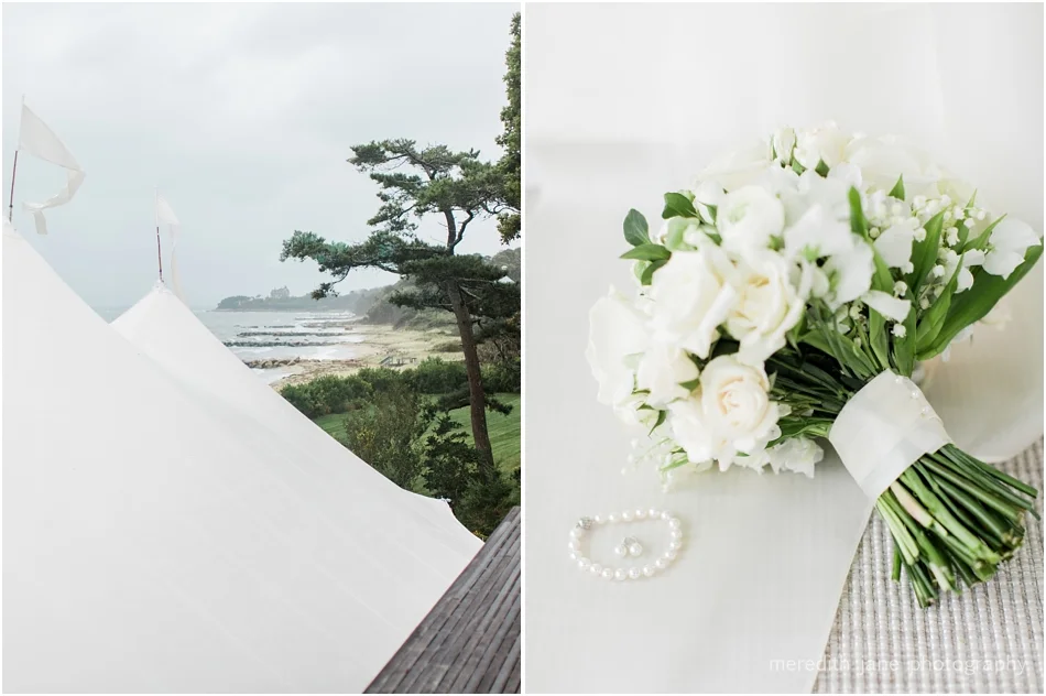 woods_hole_private_estate_tented_boston_engagement_massachusetts_cape_cod_new_england_wedding_photographer_Meredith_Jane_Photography_photo_1138.jpg