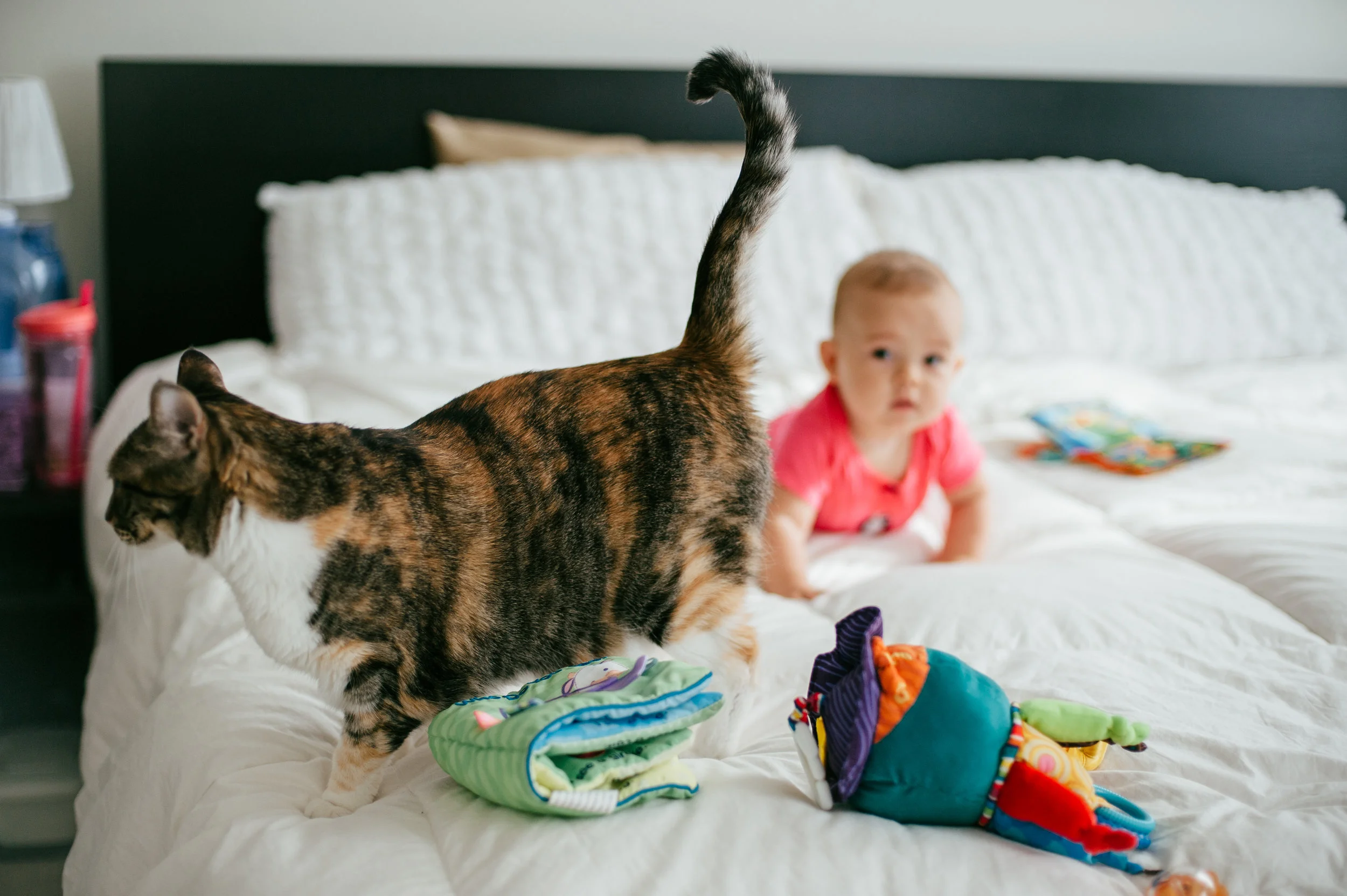 Riley Family-42.jpg