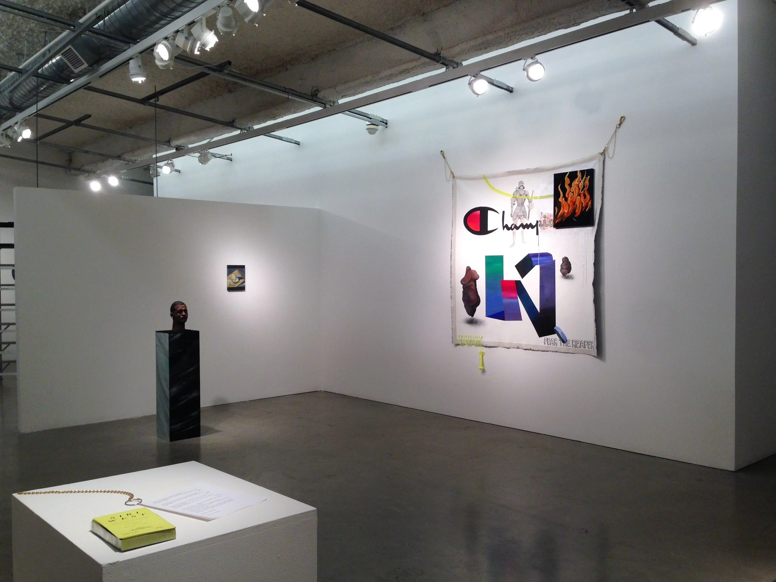 Siri West installation 2014