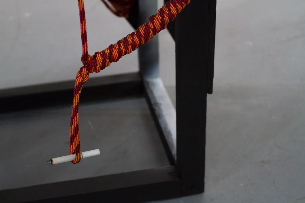 WhiteMaleArtist Installation 2016 (detail)