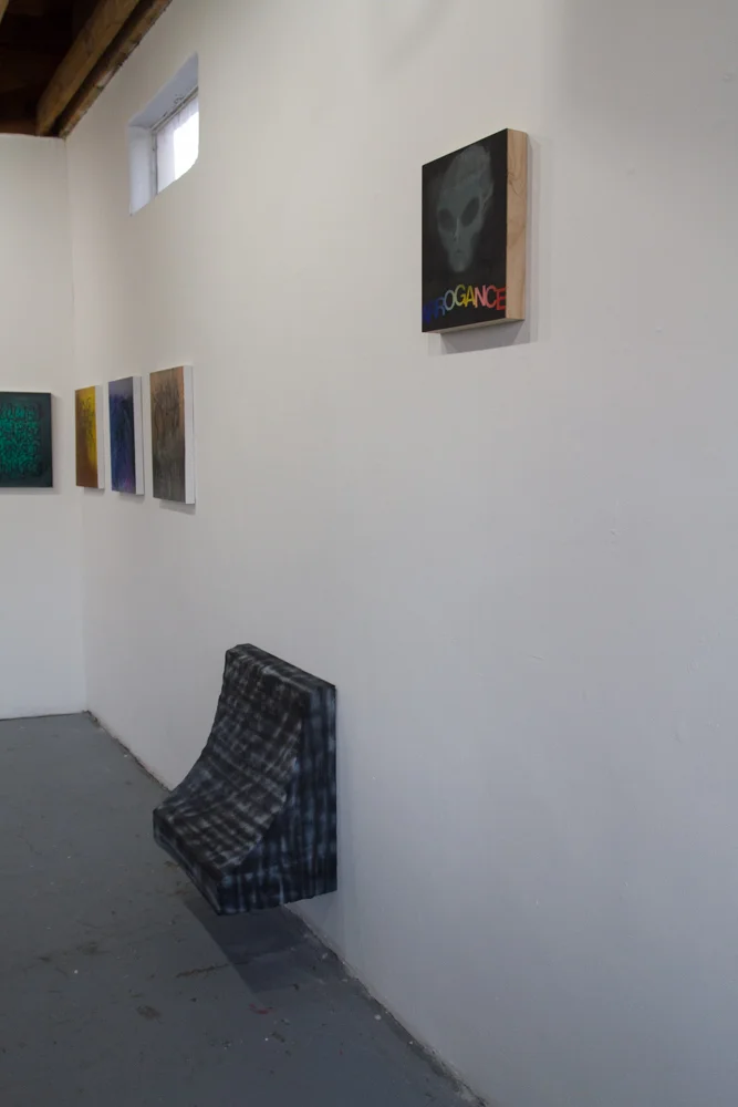 WhiteMaleArtist Installation 2016