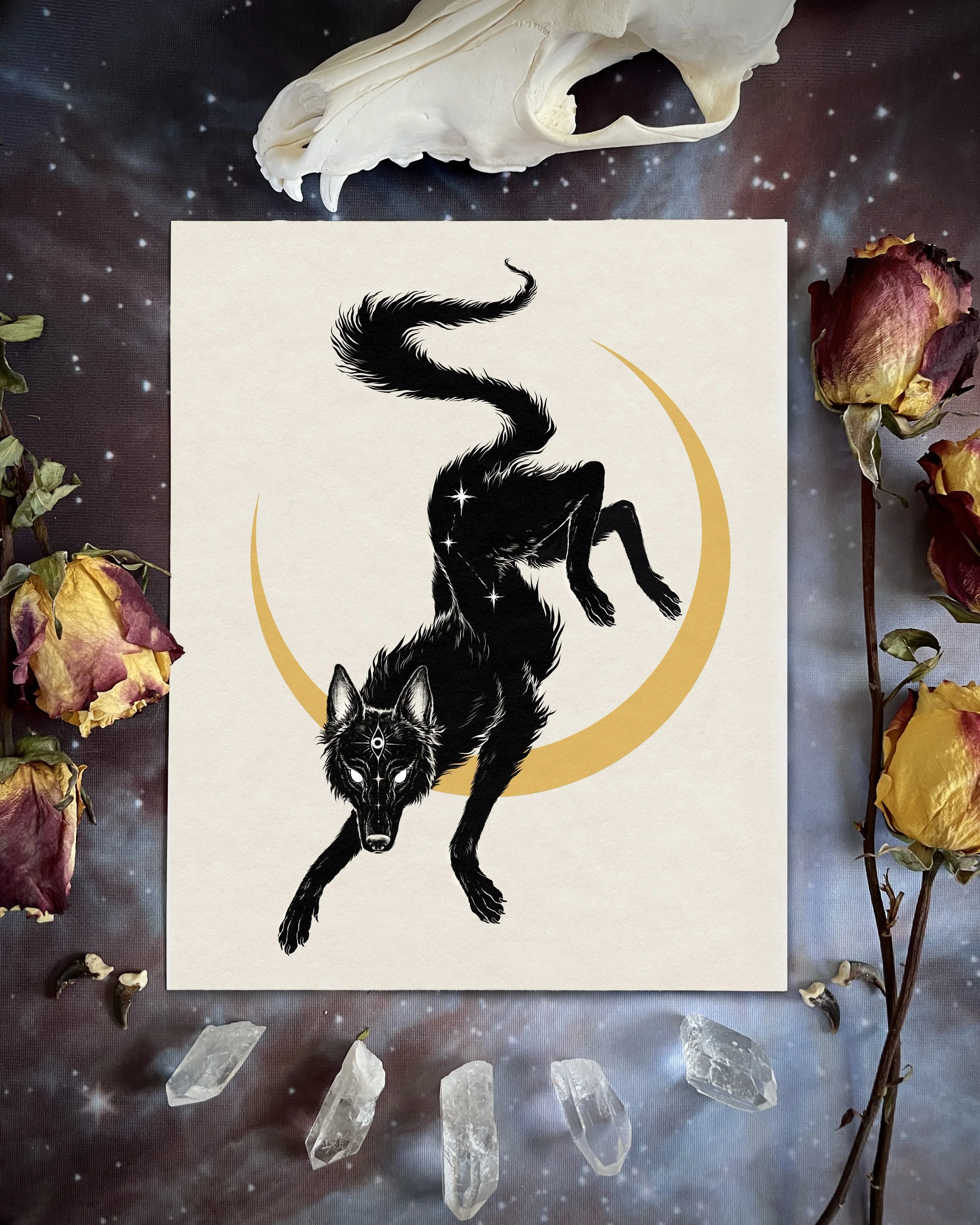 black dog print.jpg