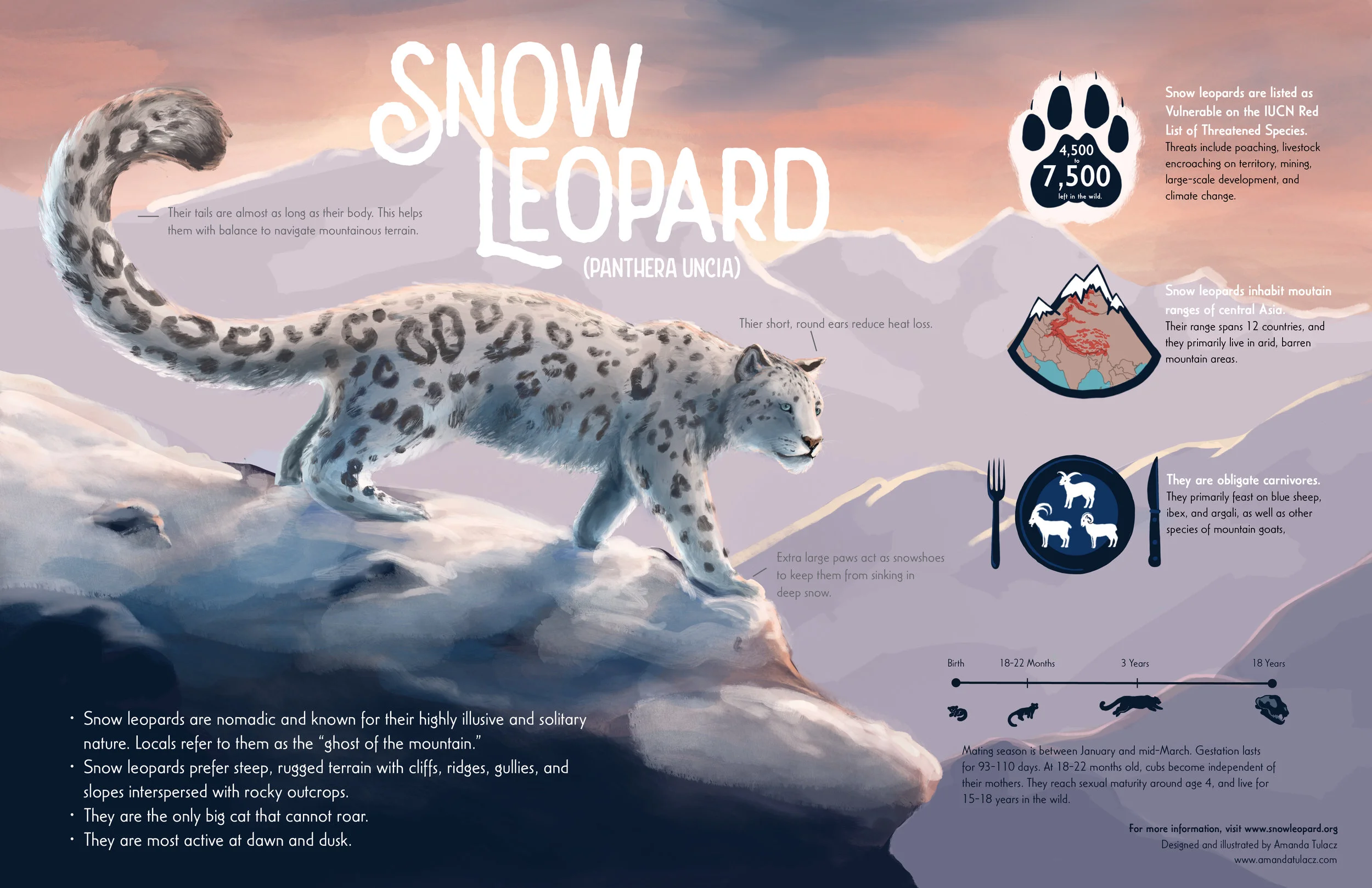 "Snow Leopard Infographic." Digital