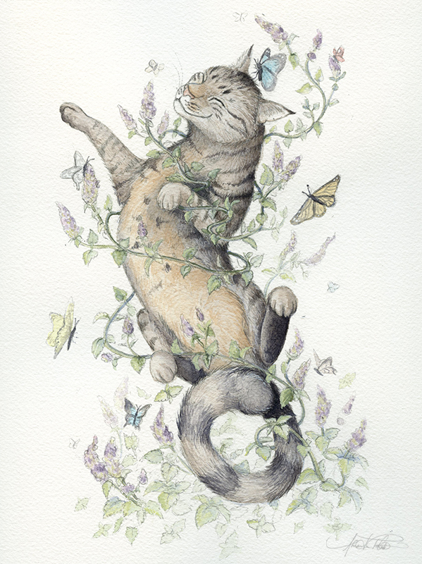 "Nepeta Cataria - Catnip." Watercolor, 9x12"