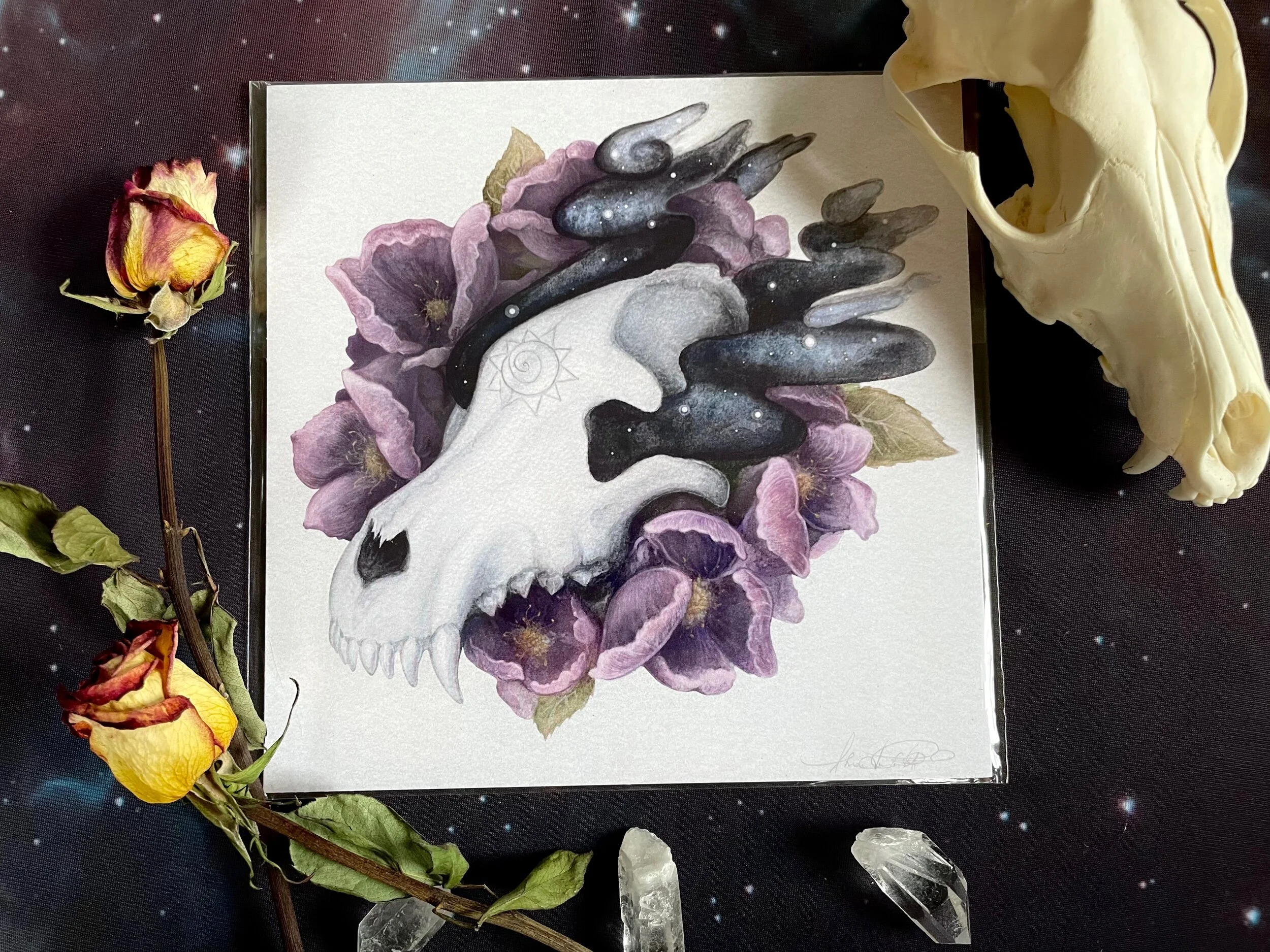 74CE0231-0ECA-4157-B793-E12E8818A2F1