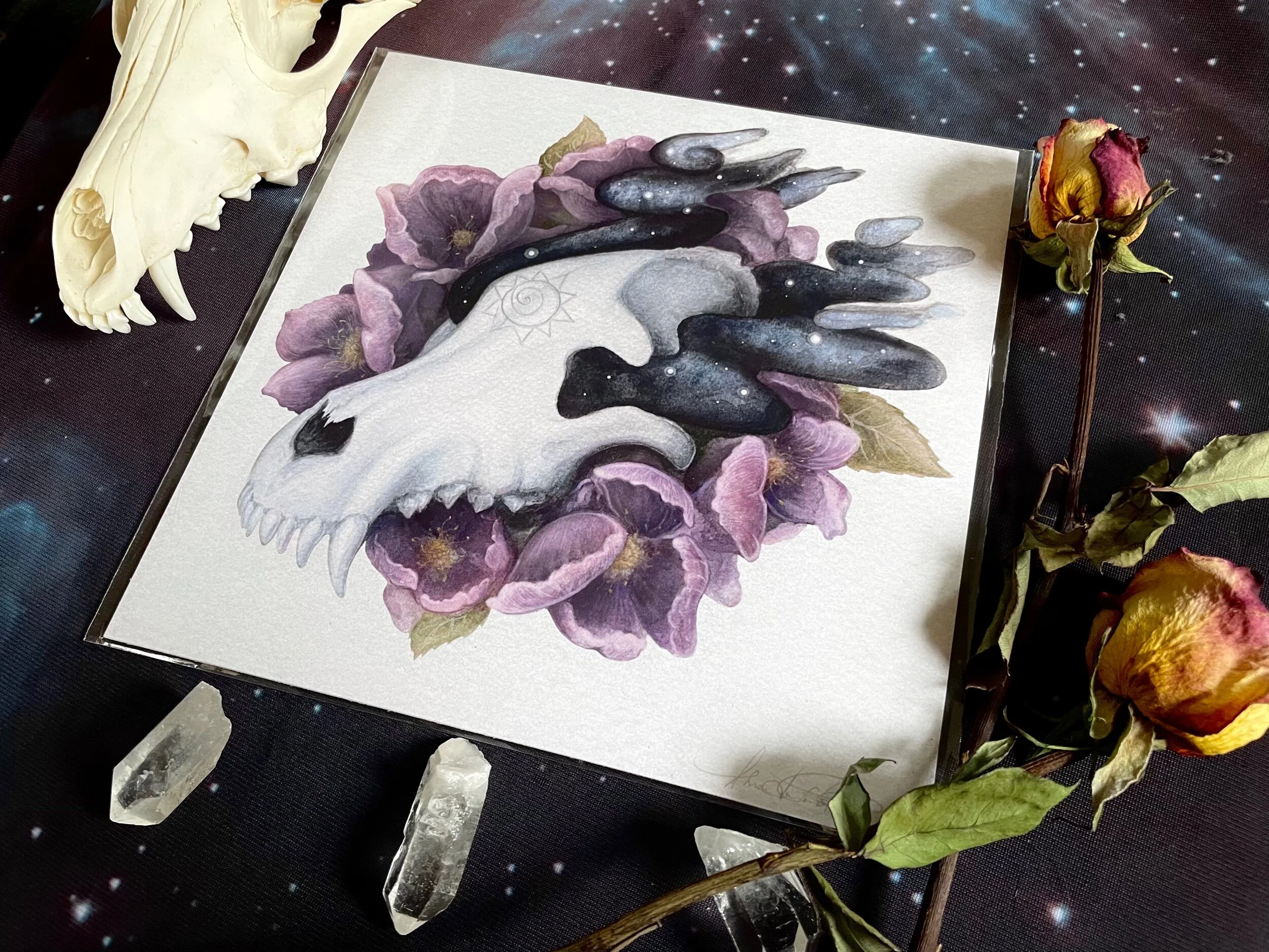 76BACFC0-D1AA-478D-B95D-9319A3566F88