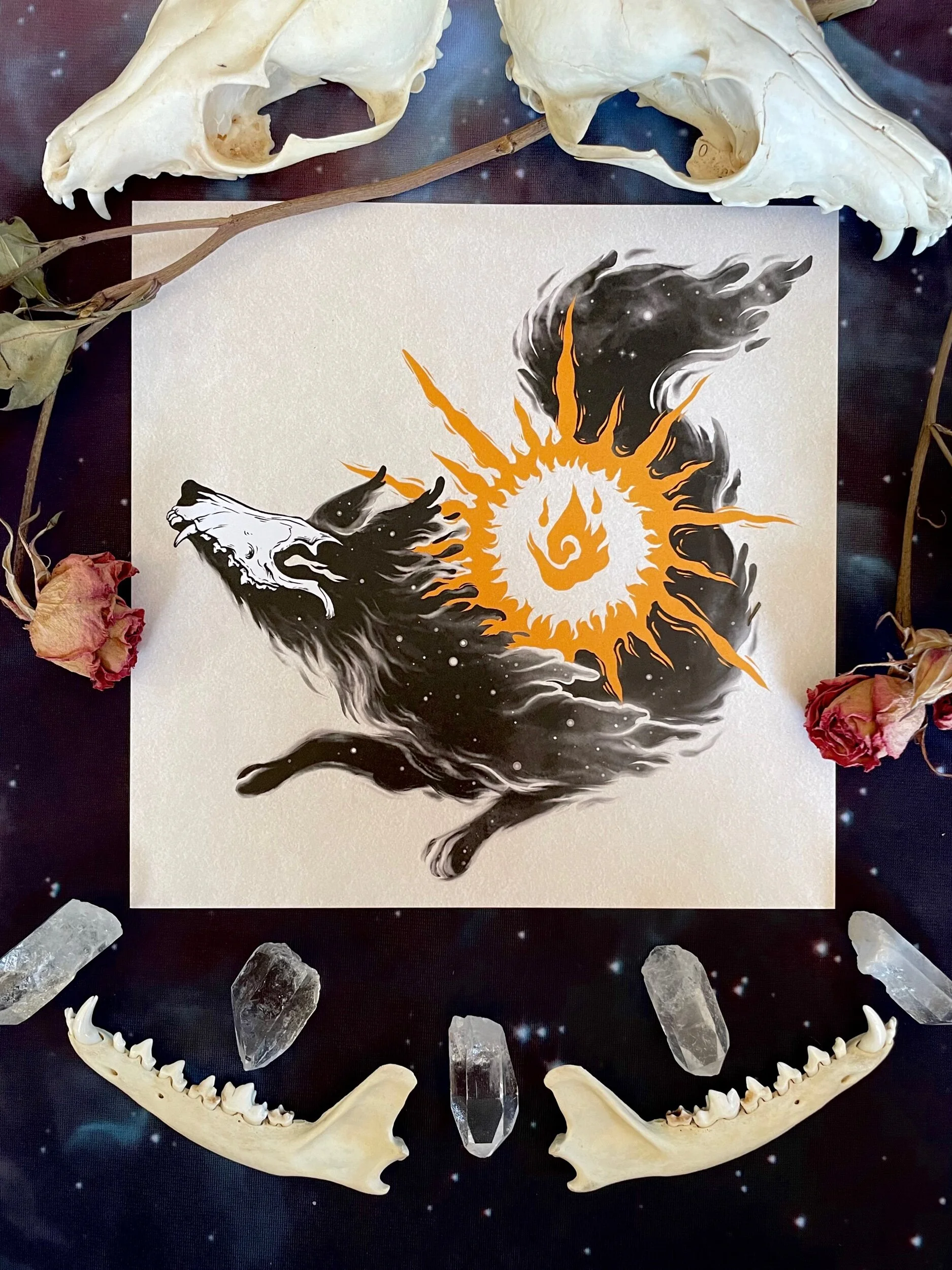 650DBBB7-EBA2-4569-9B35-29163BE67205