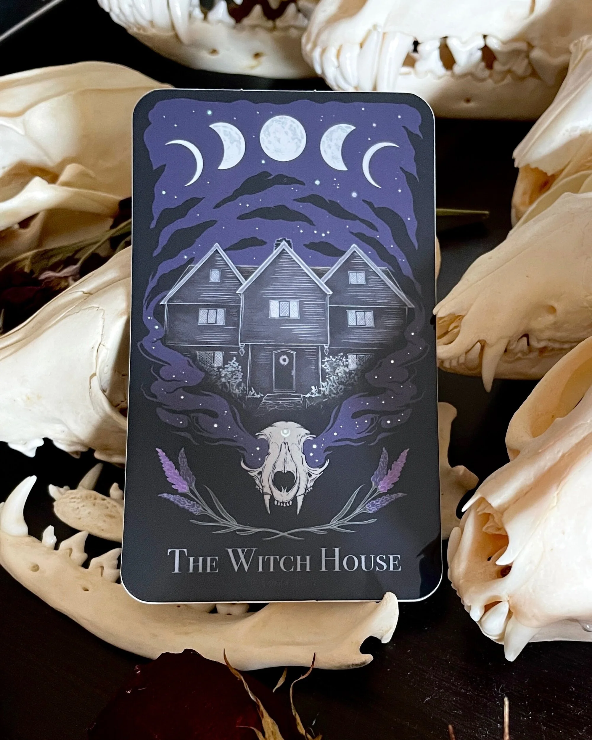 8D579481-66FD-4291-97E7-17693BCC4DBB