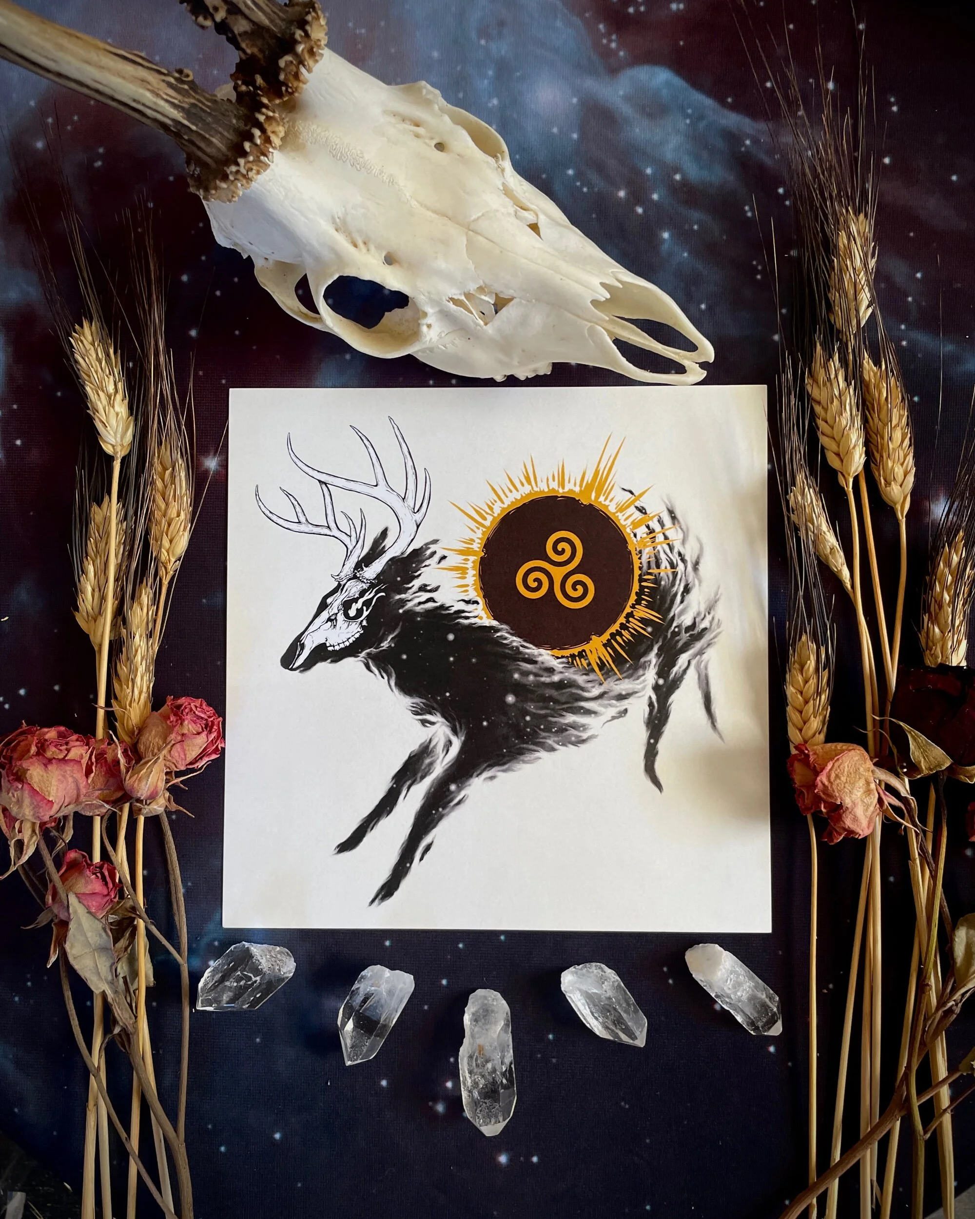 66970BC5-DE35-41B8-8241-45FEFCDC028F