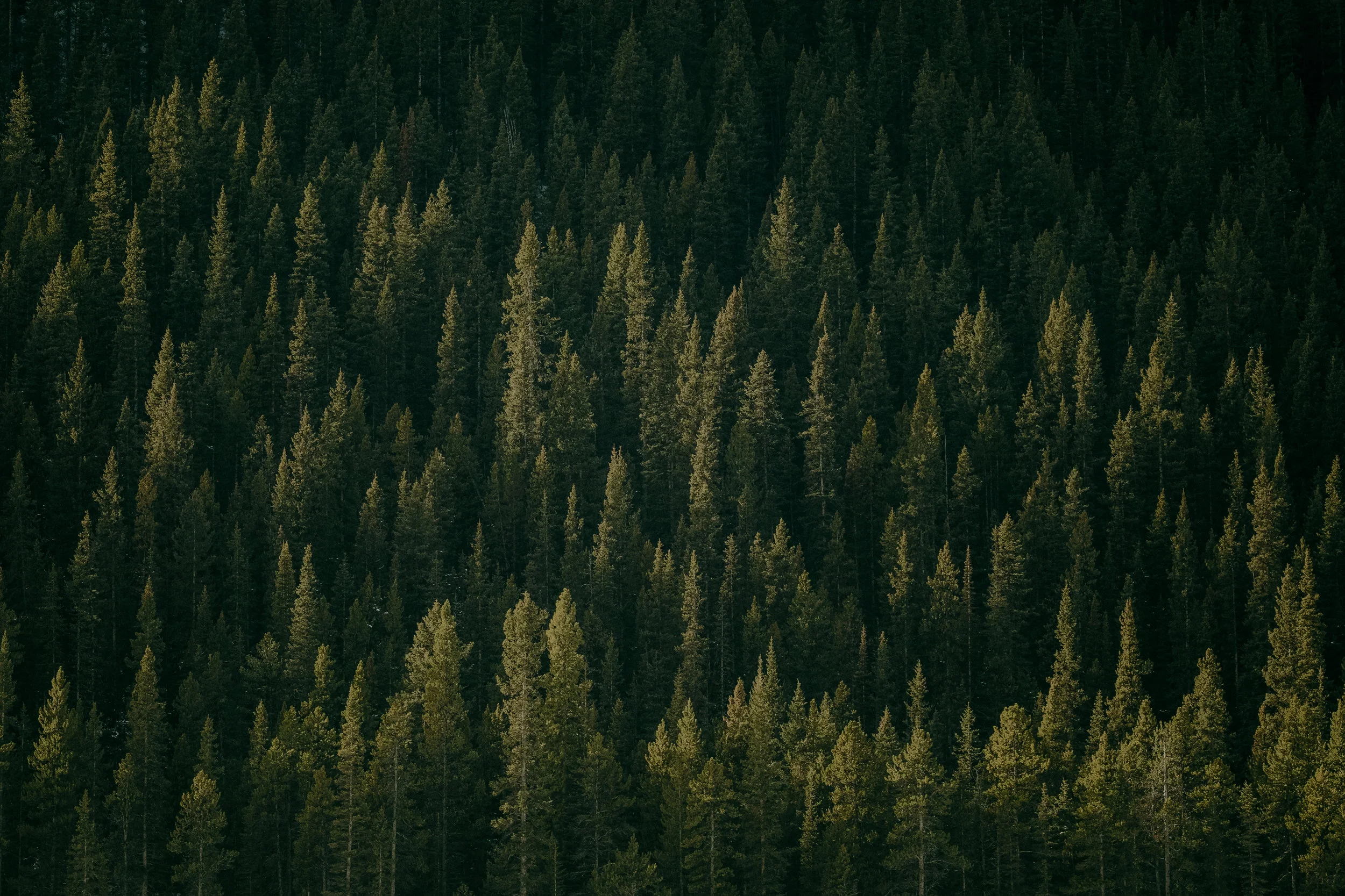 Banff_Canada-43.jpg