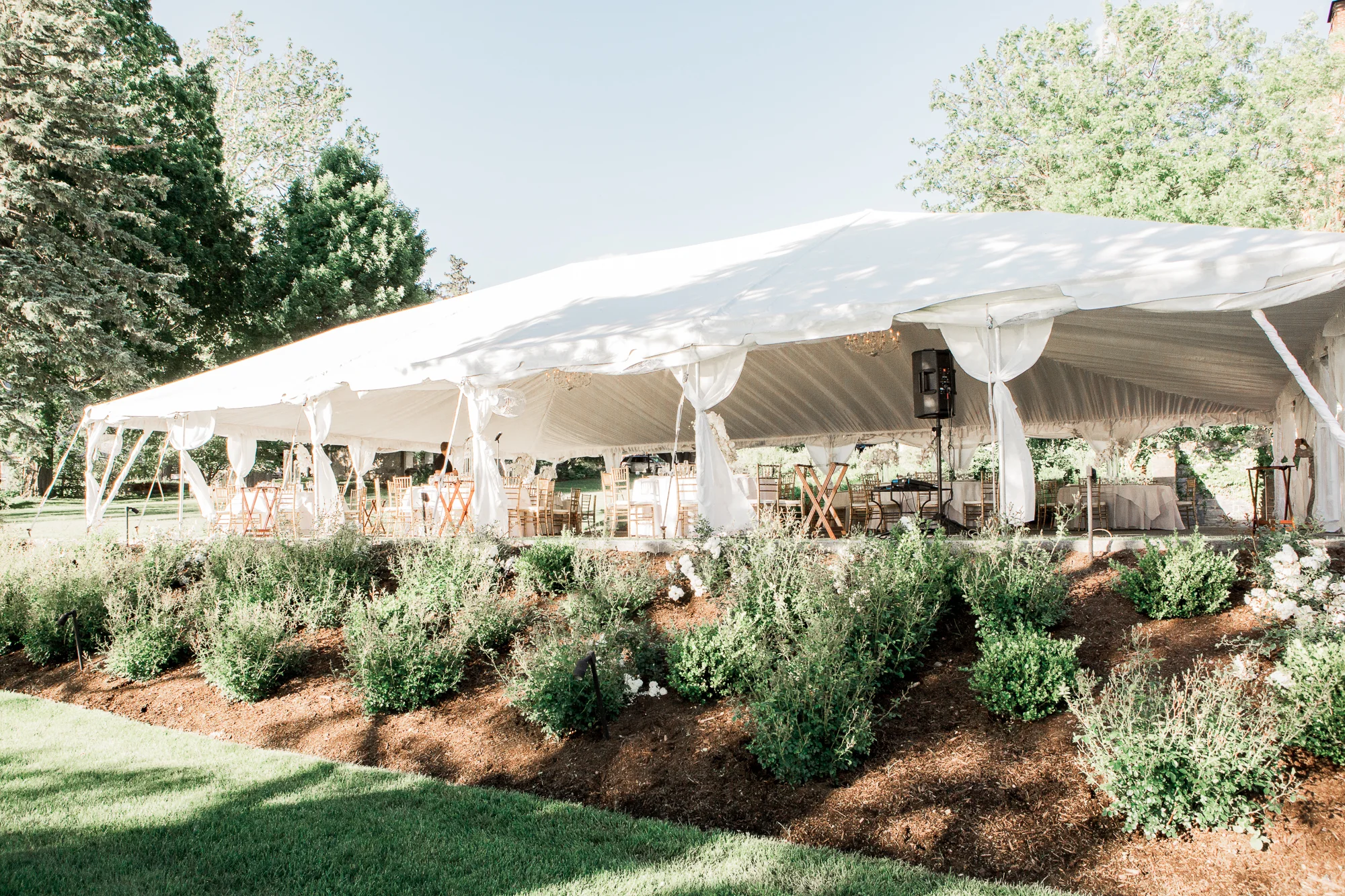 jeffrey-oussama-reception-1.jpg