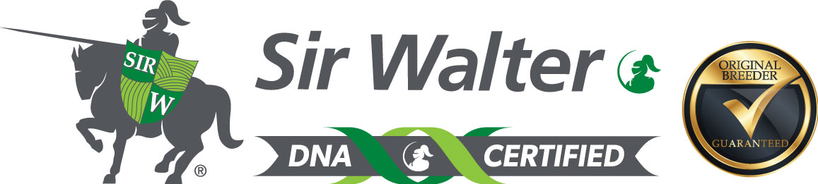 SirWalter-DNA_OB_Landscape_preview-1.png