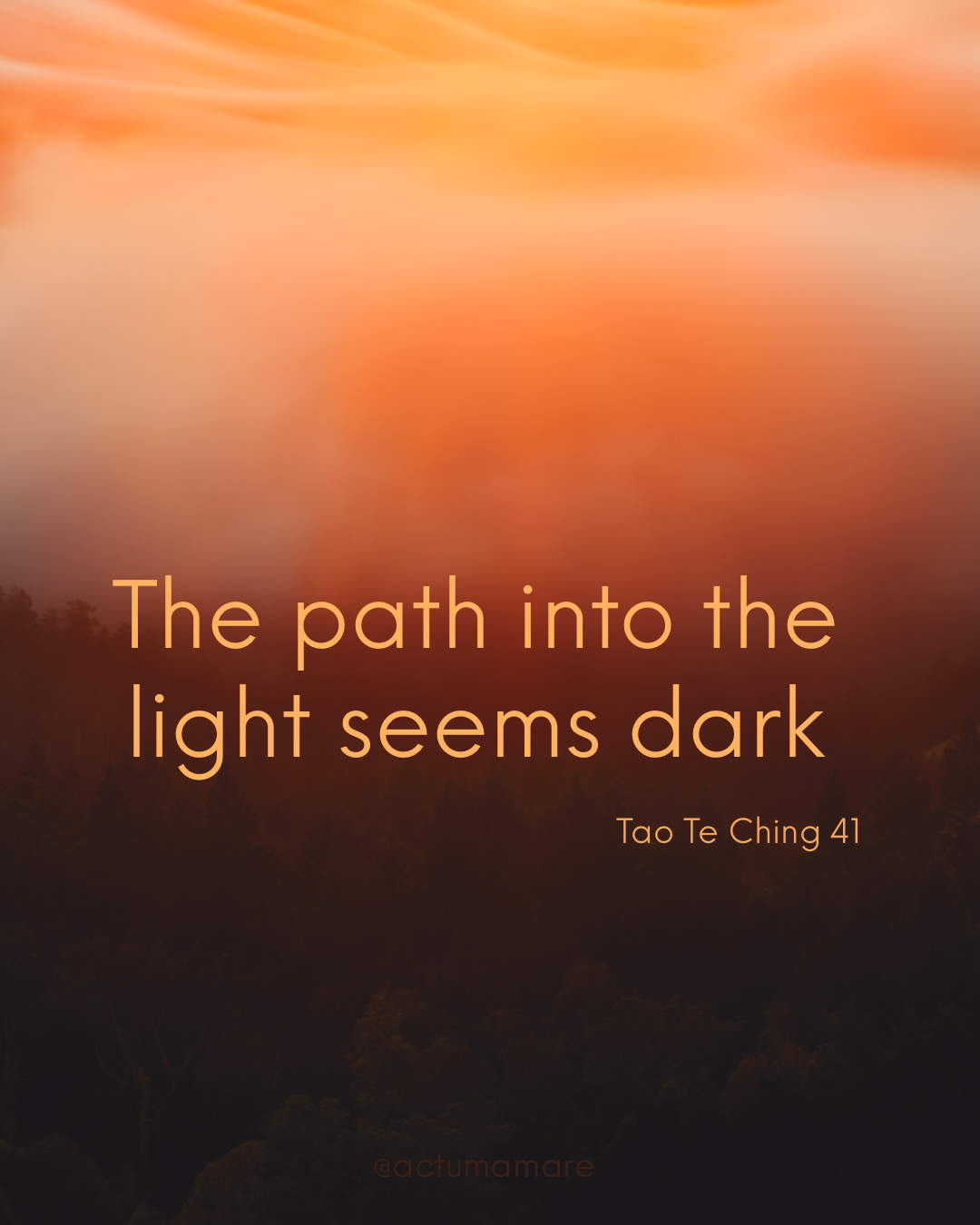 tao te ching 41.PNG