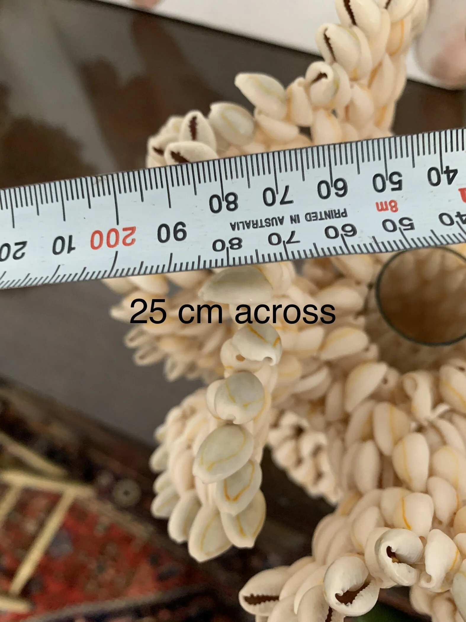 56DE70F9-FBBF-40C6-9A9A-F53049D44750