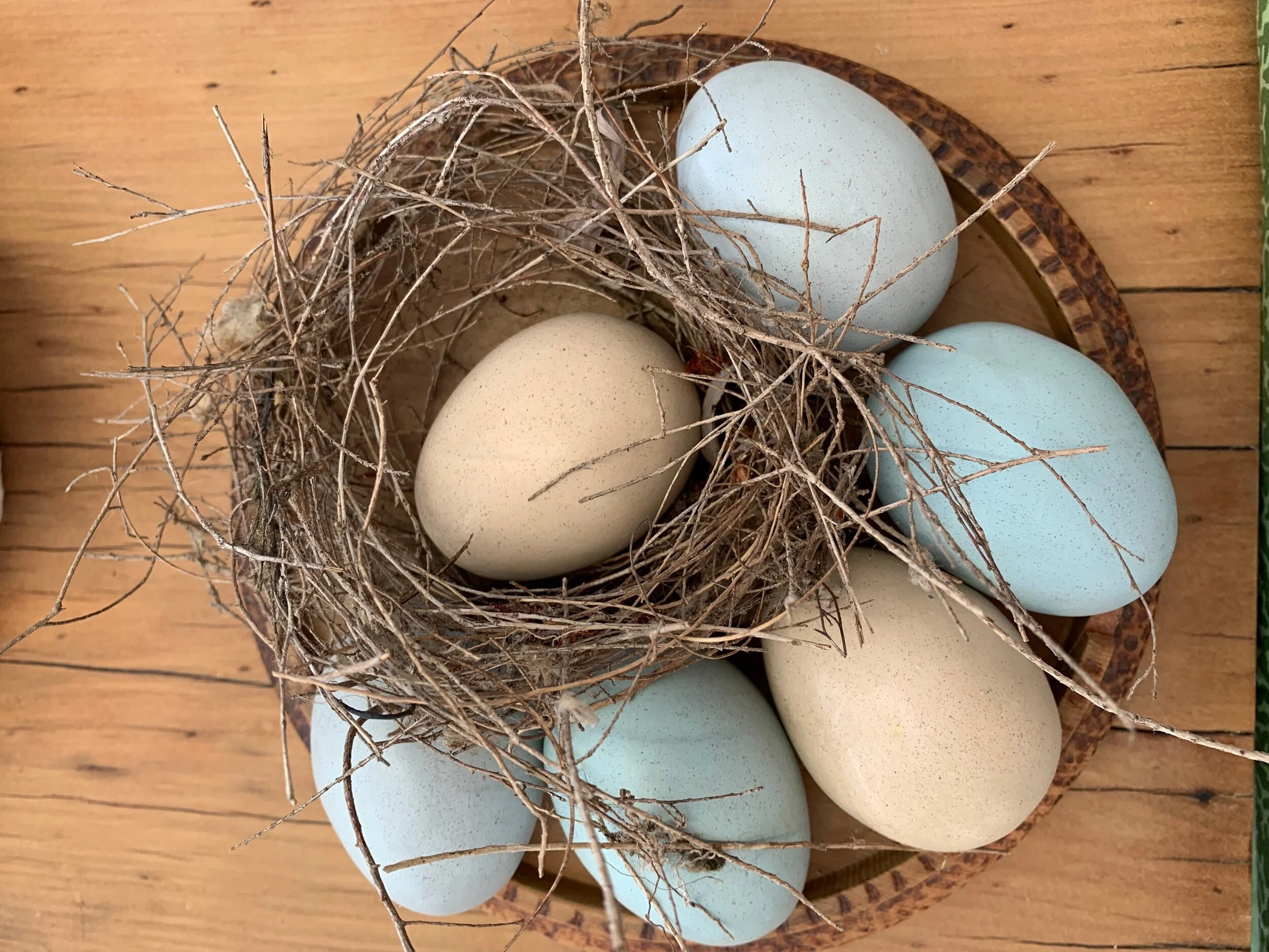 3452C205-73DF-4695-B746-541305F7288B