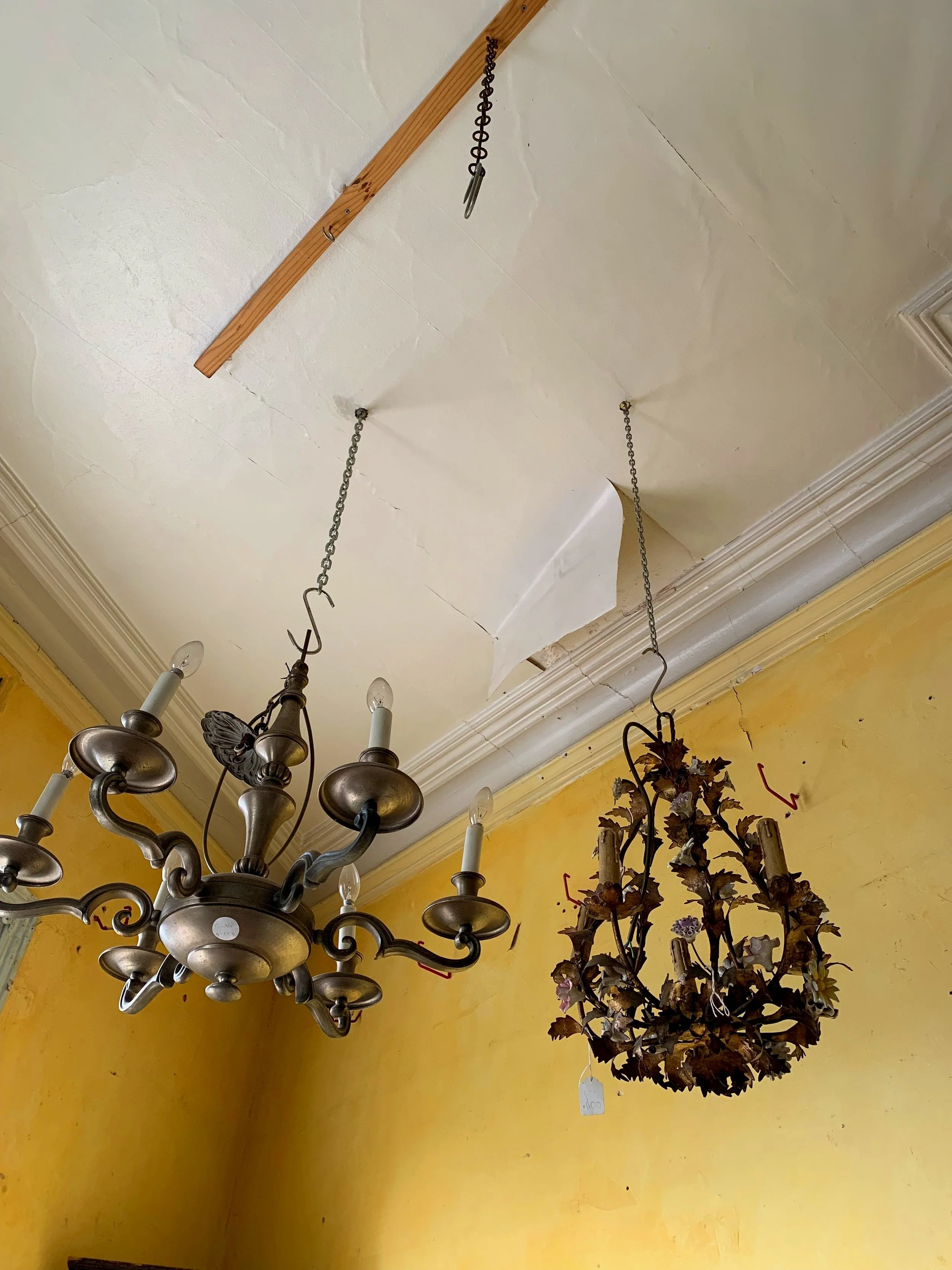 Hello Mellow Yellow...