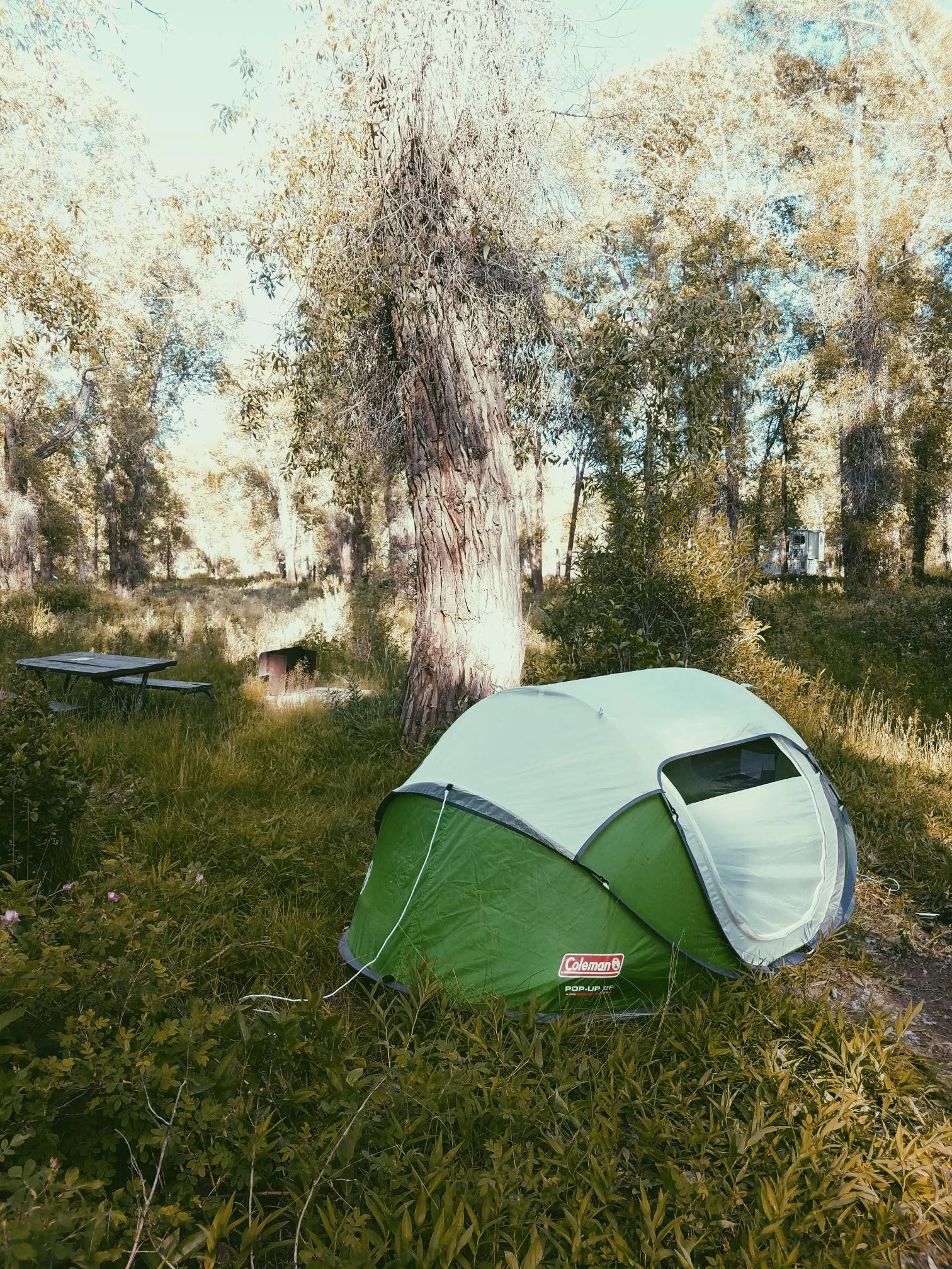 Gros Ventre Campsite