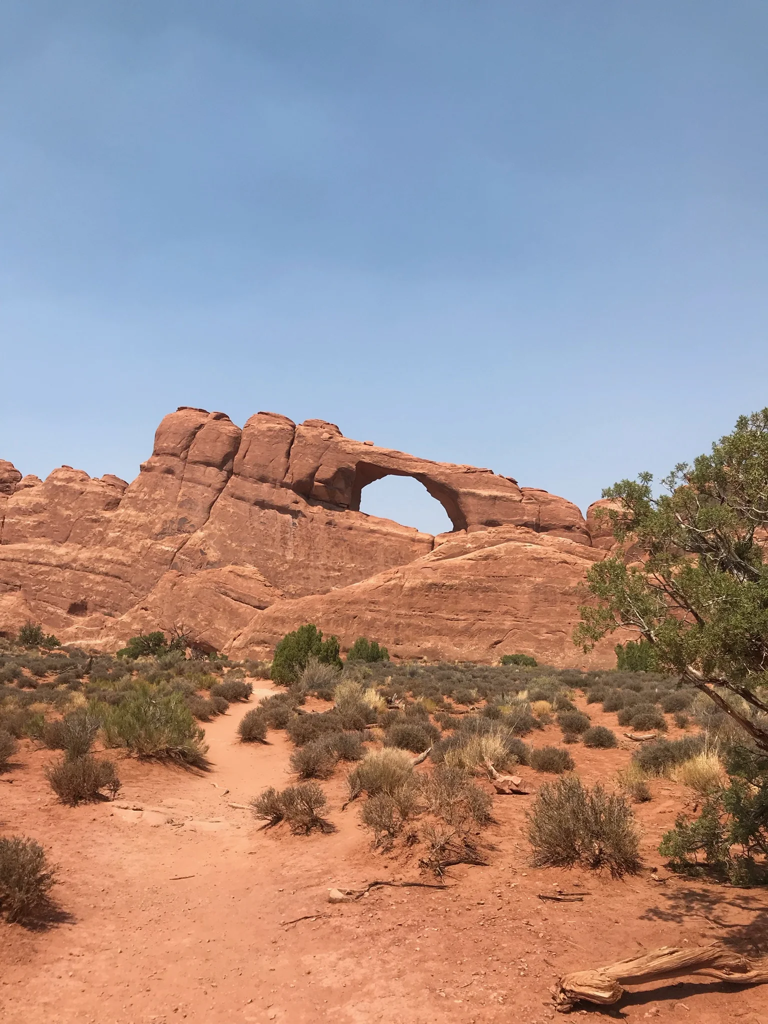 Arches