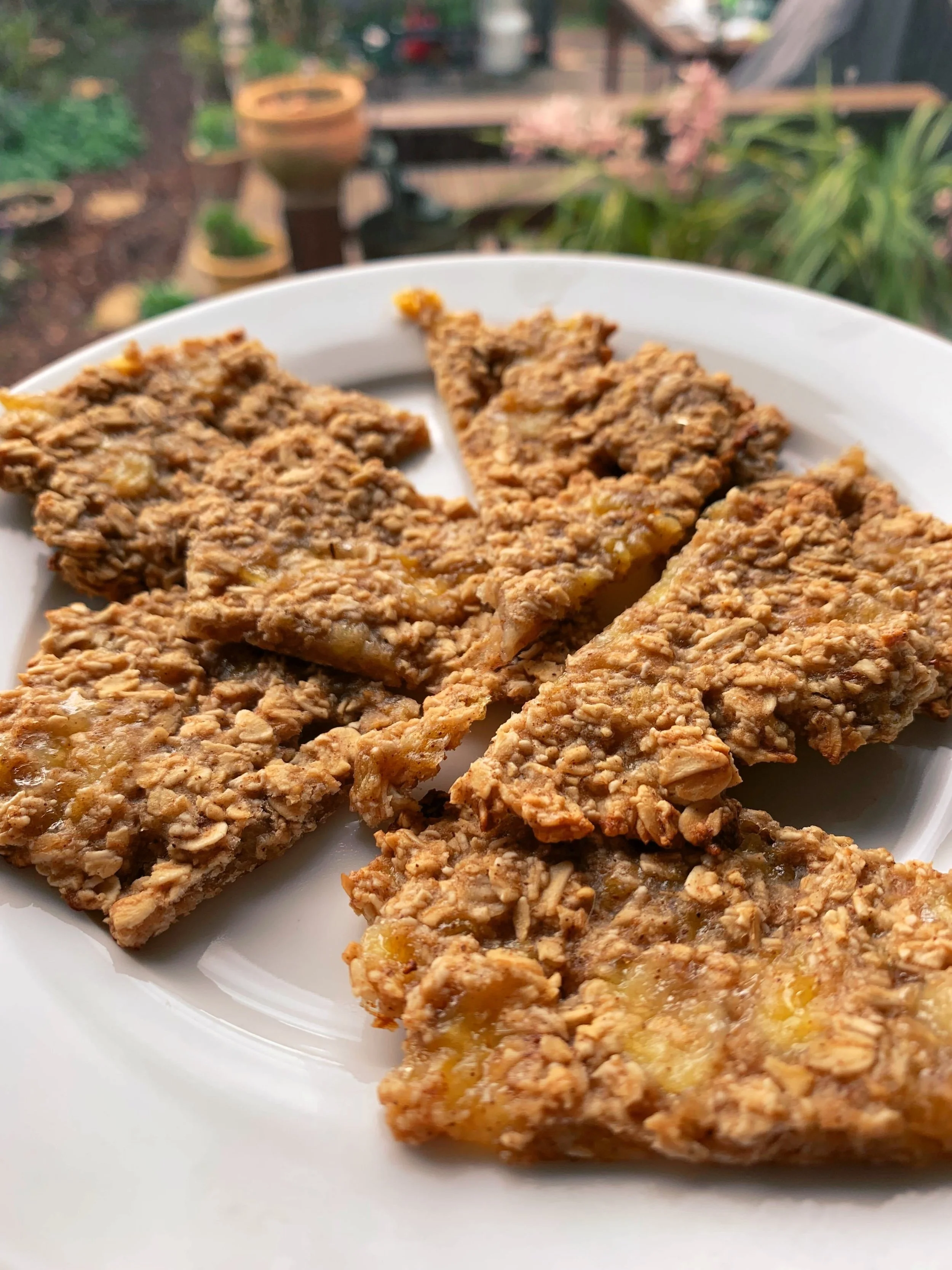 Pre-Workout Oatmeal Cookie