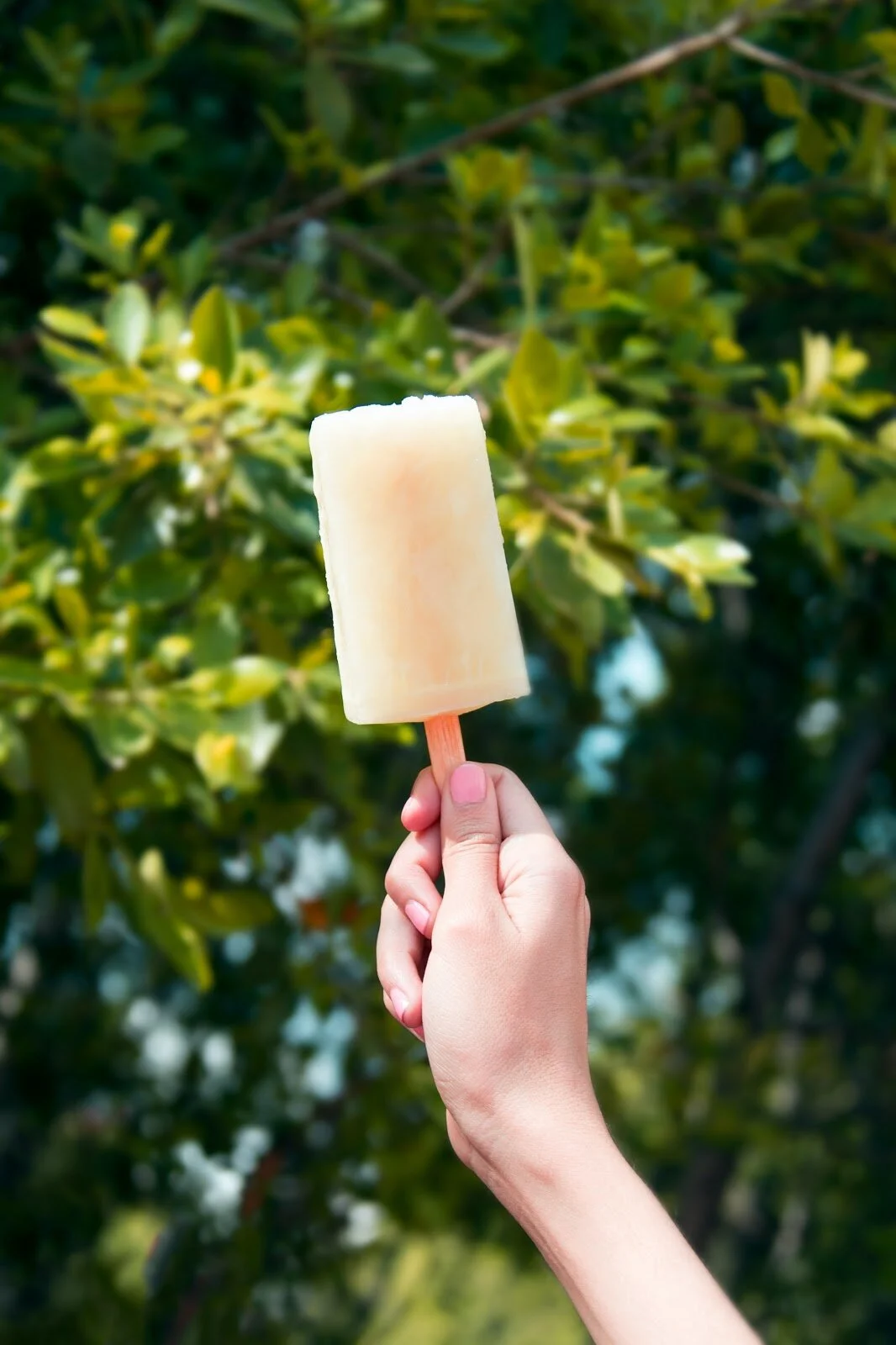 Pina Colada Popsicles