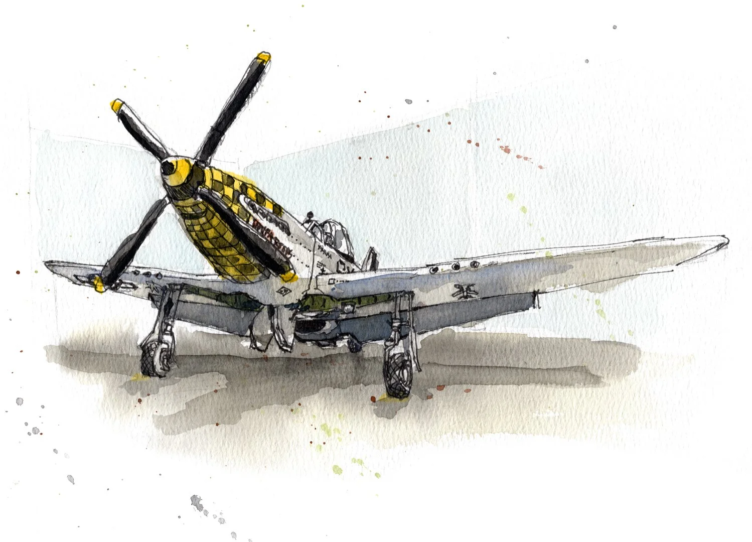 P-51_UpupaEpops778_web.JPG