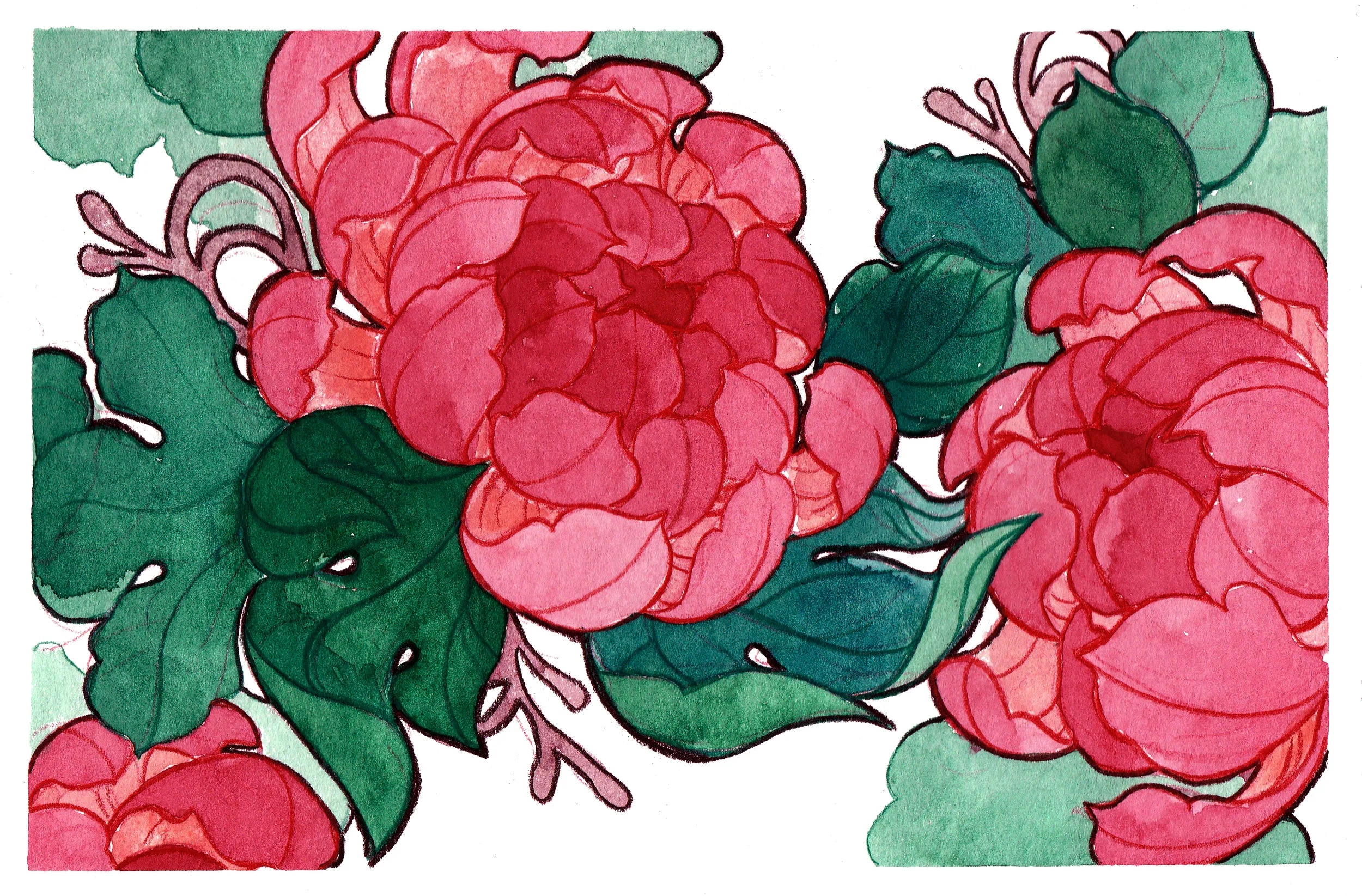 chrysanthemums.jpg