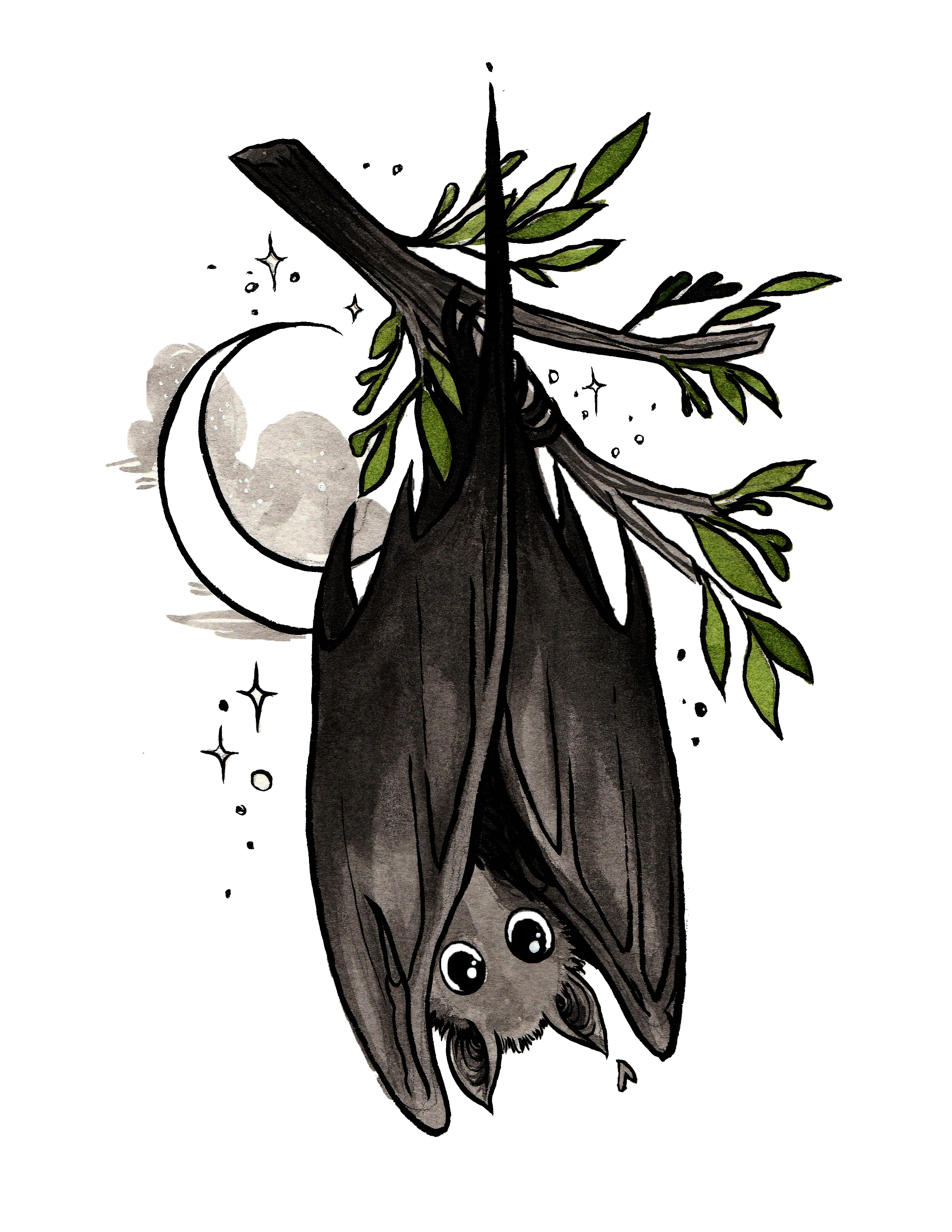 BAT.jpg