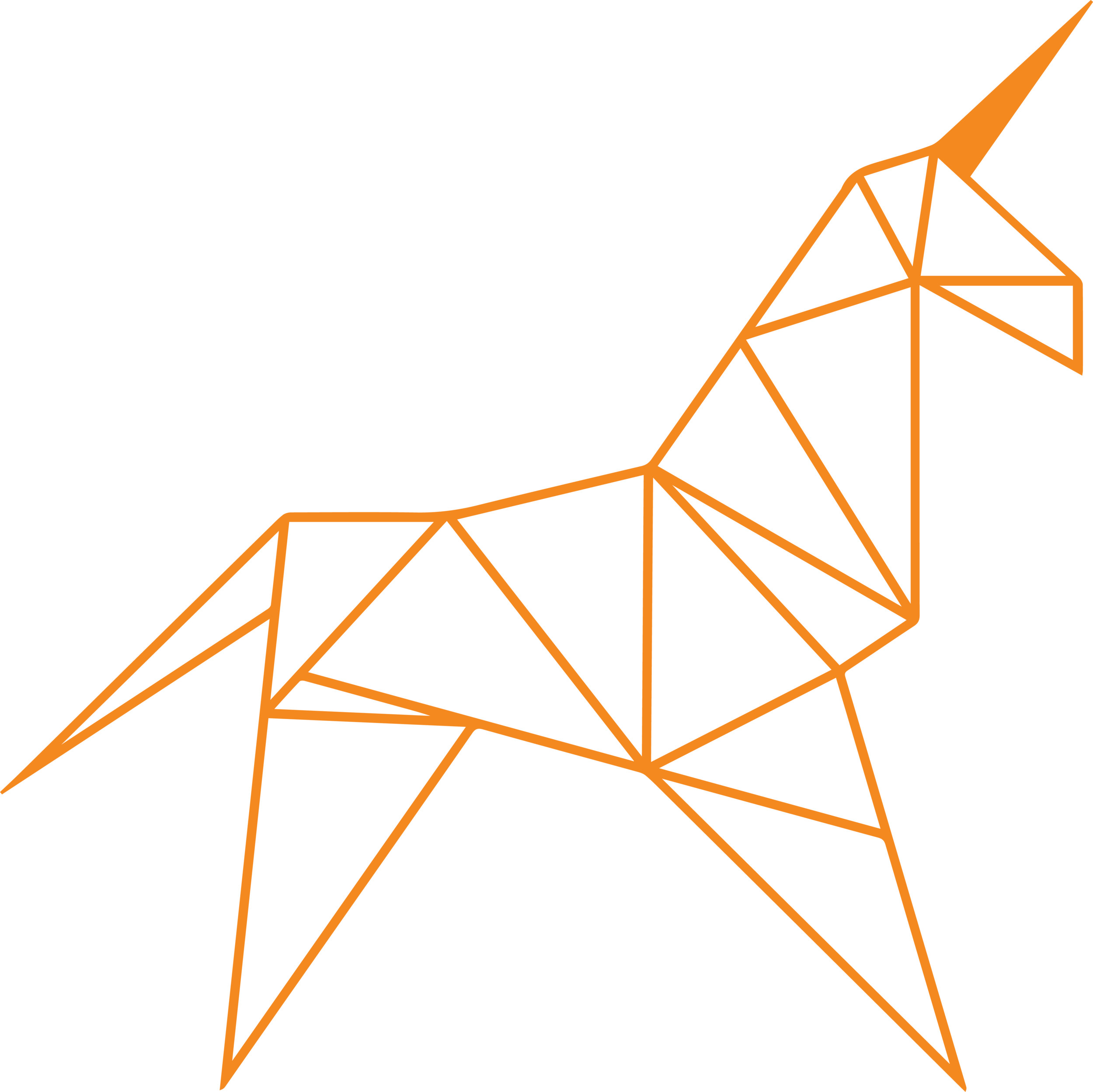 Tangerine Unicorn Design