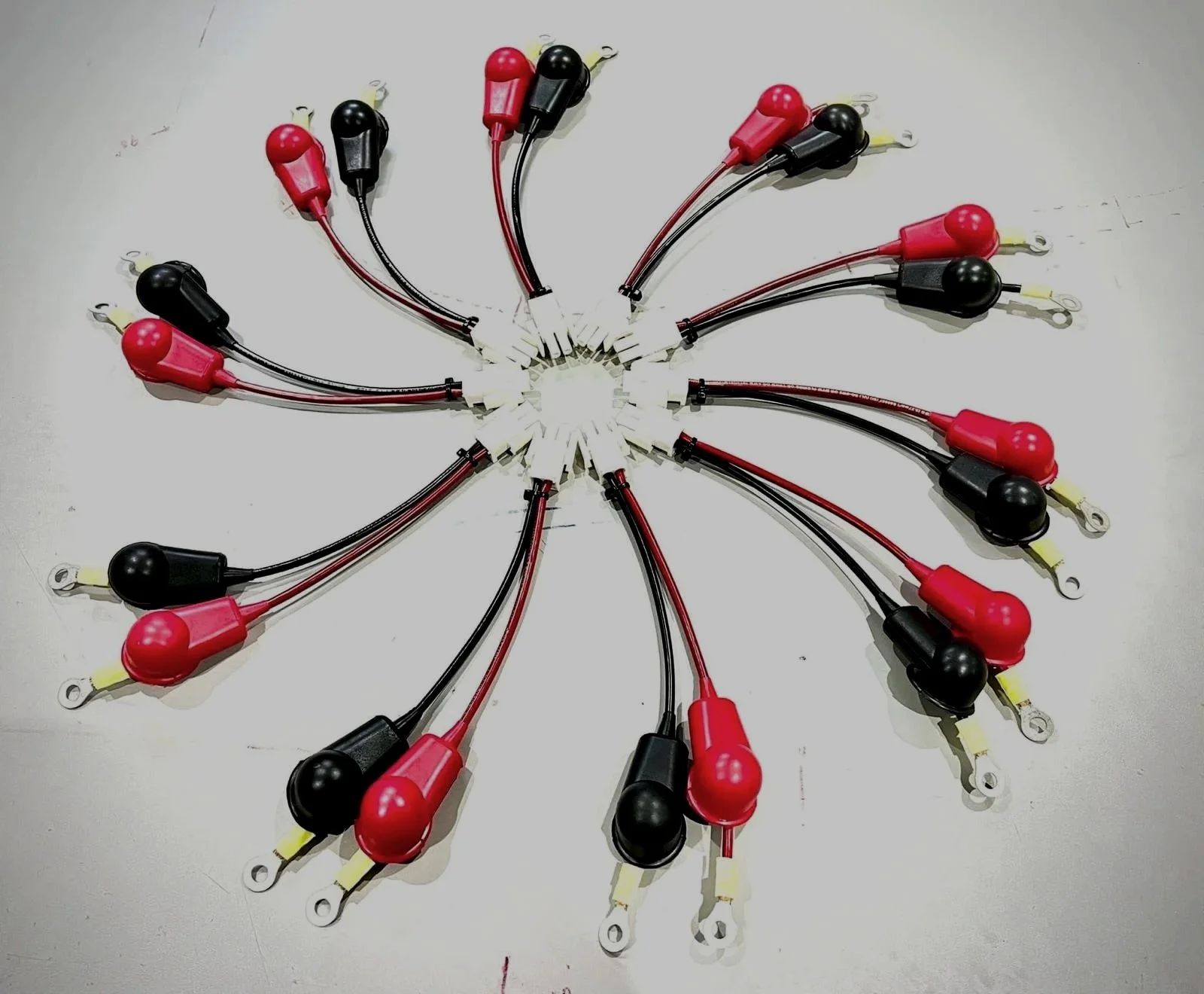 WhatsApp Image 2025-12-19 at 11.46.34 AM.jpeg