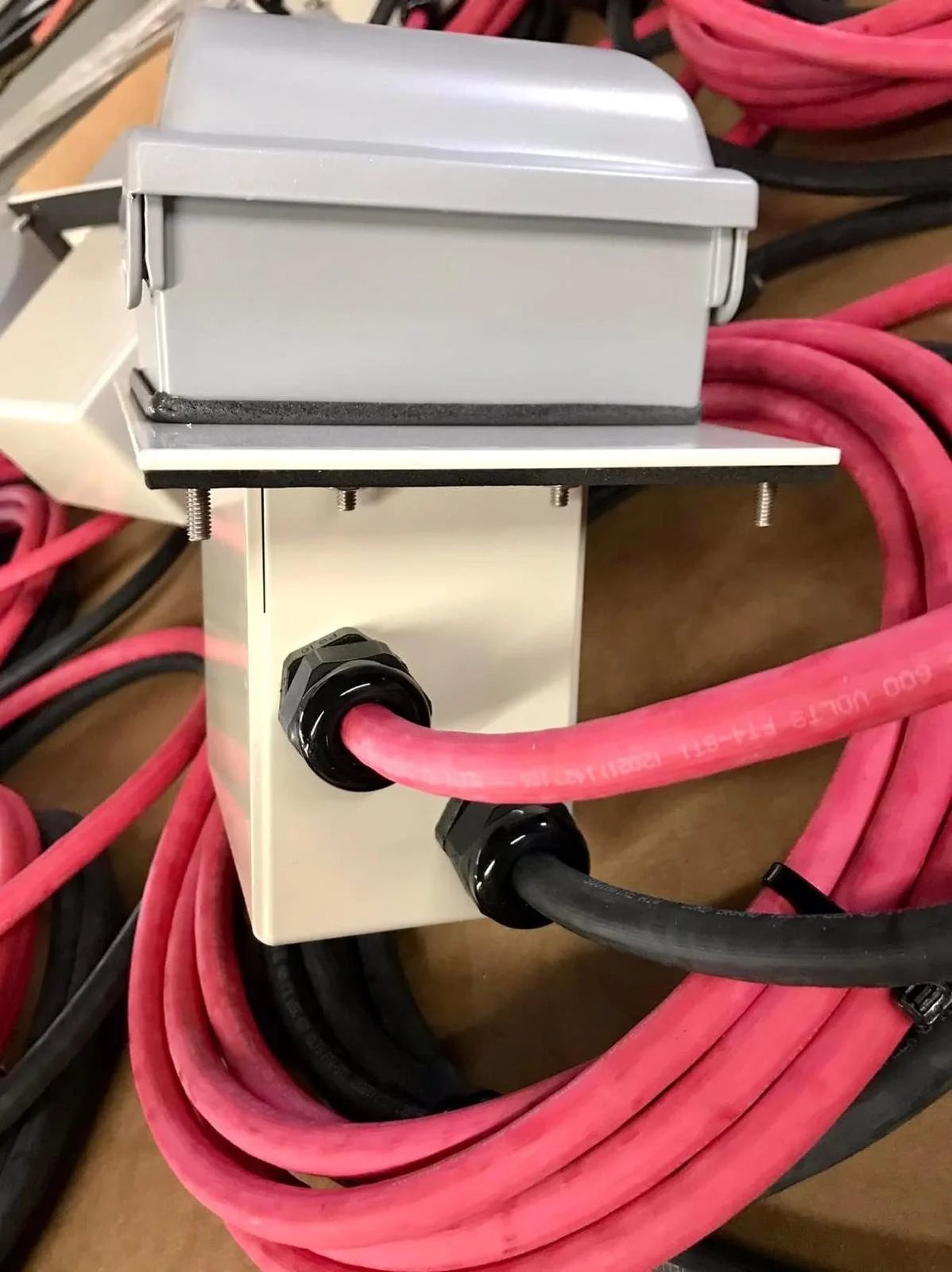 WhatsApp Image 2025-12-20 at 11.46.34 AM.jpeg