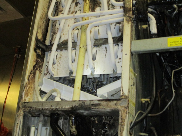 Iced Lines Industrial Kitchen