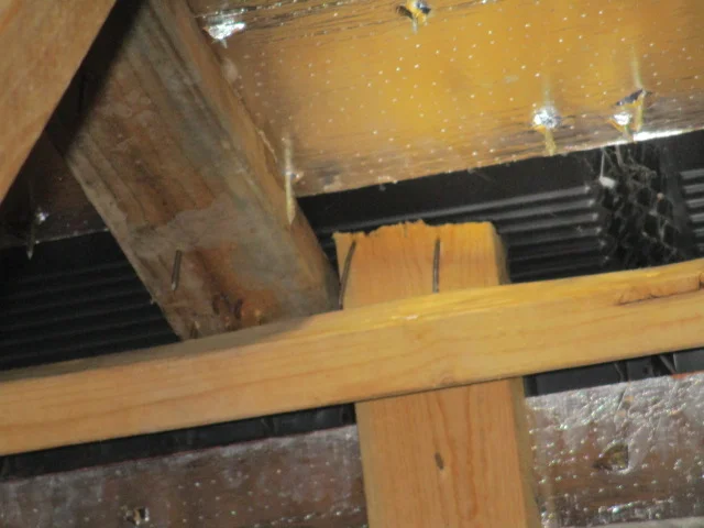 Brace Not Positioned Right