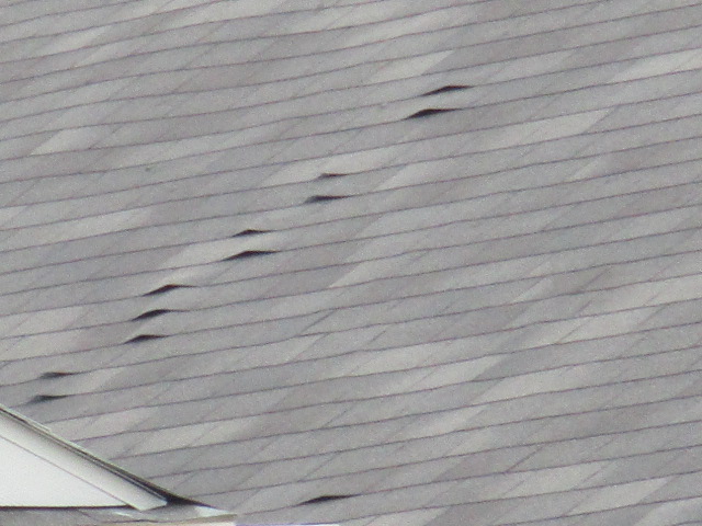 Roof Issues