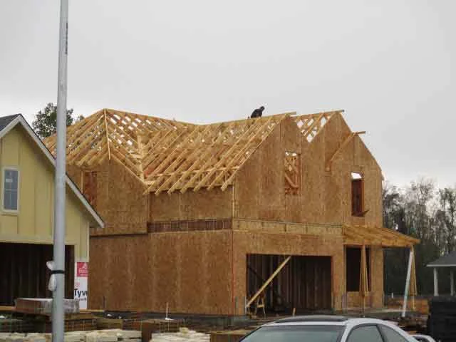 pre-sheetrock phase home inspectors spring