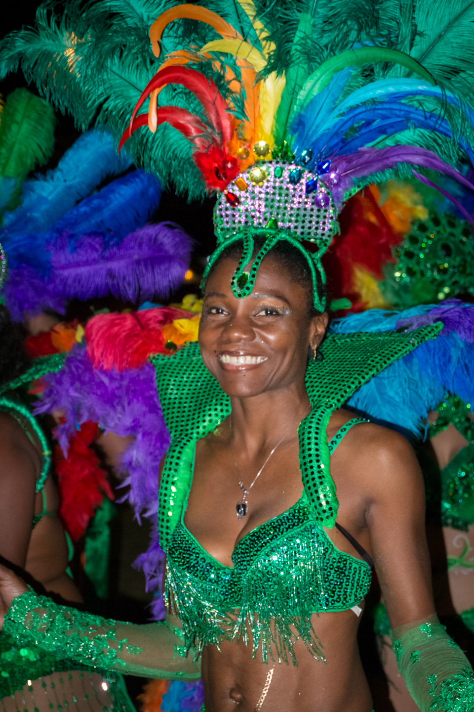 CARNAVAL 2017 30 ANS