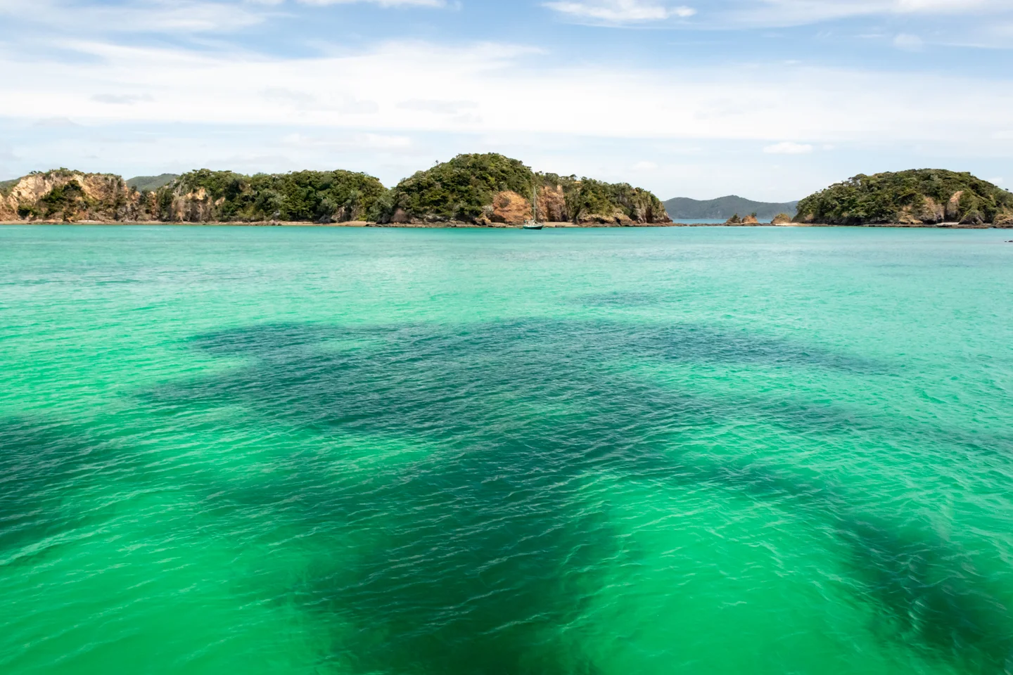 CRH_2018_NZ-D3-PAIHIA_3956.jpg