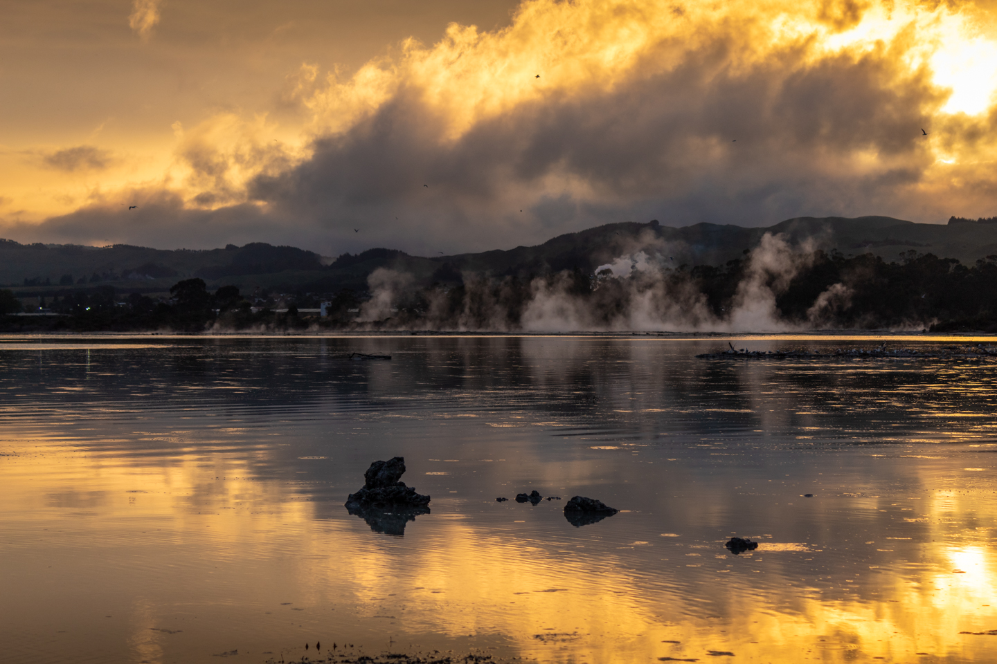 CRH_2018_NZ_DAY_07_ROTORUA_4186.jpg