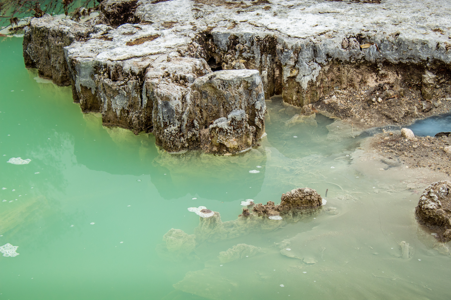 CRH_2018_NZ_DAY_07_ROTORUA_4205.jpg