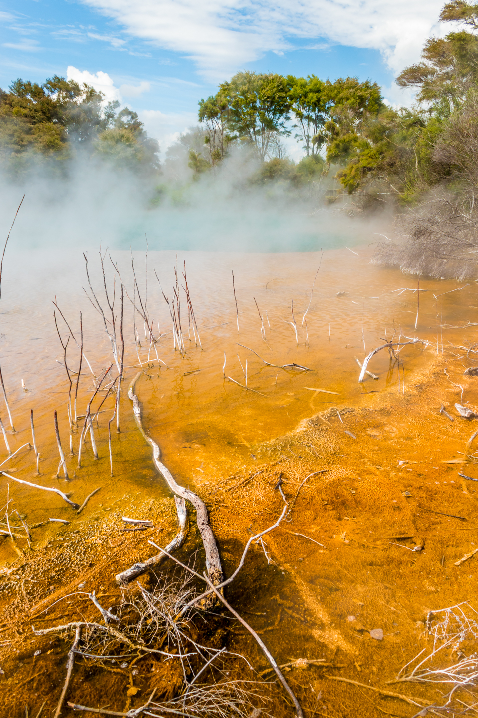 CRH_2018_NZ_DAY_07_ROTORUA_4241.jpg