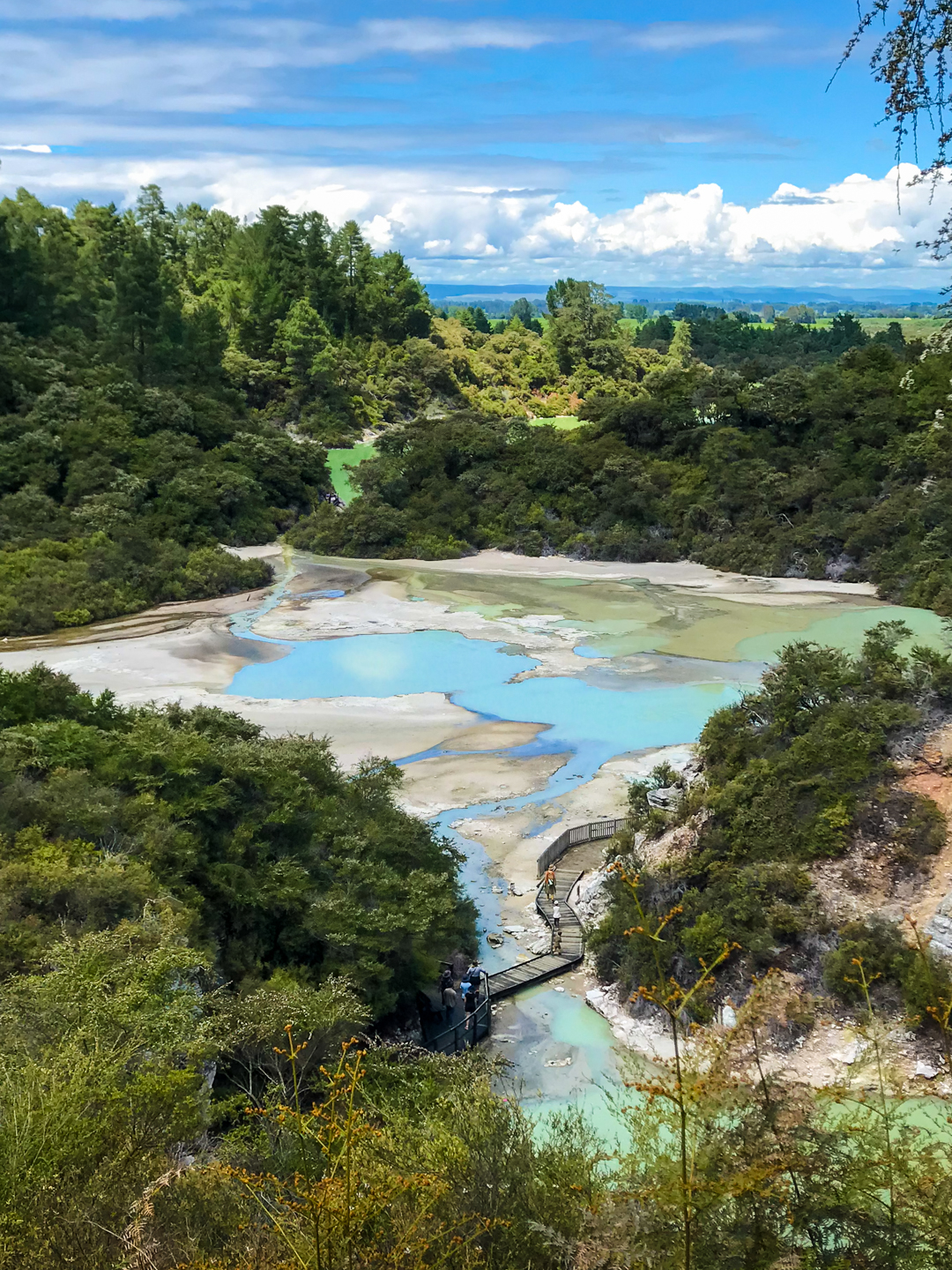 CRH_2018_NZ-DAY_08-FROM_WONDERLAND_TO_TAUPO_.jpg