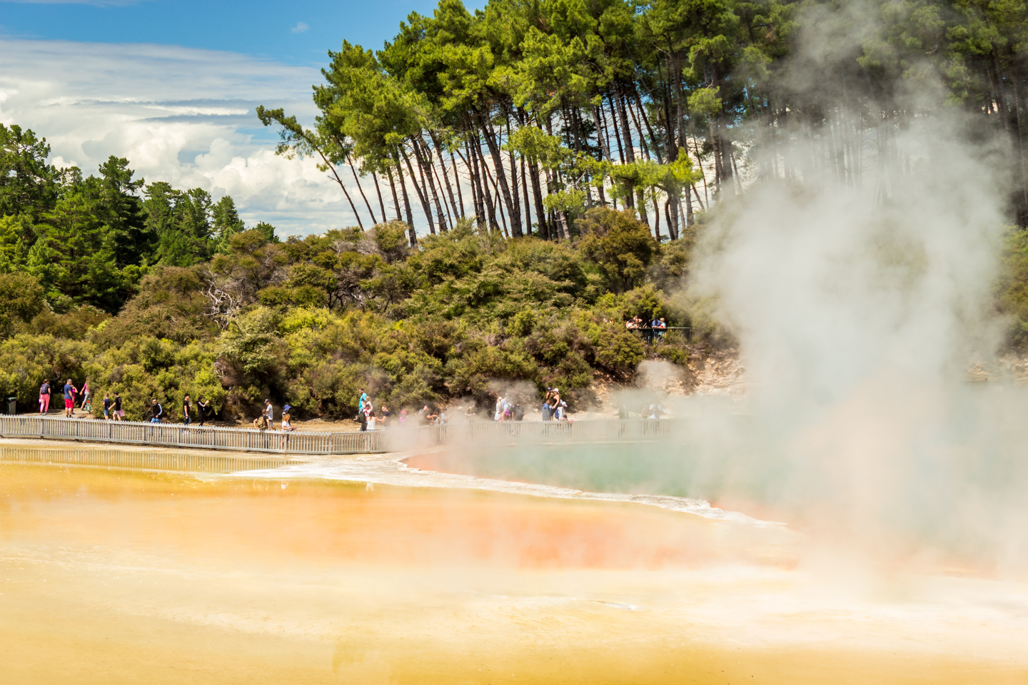 CRH_2018_NZ-DAY_08-FROM_WONDERLAND_TO_TAUPO_4287.jpg